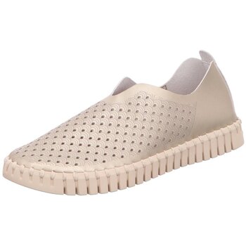 Ilse Jacobsen  Damenschuhe Slipper Tulip3576 Tulip3576-780 günstig online kaufen