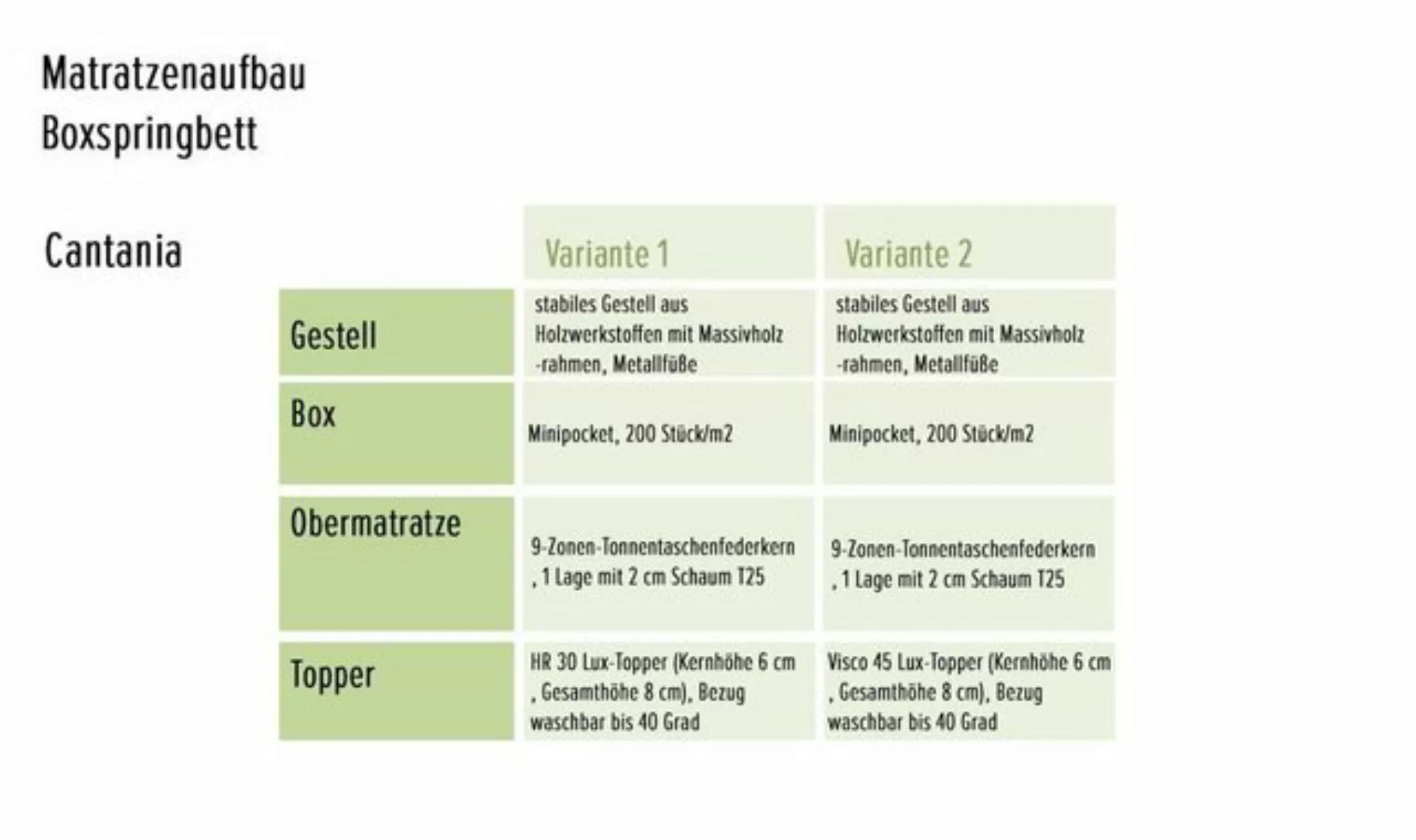 ED EXCITING DESIGN Boxspringliege (180 x 200 cm, Cantania), Grün günstig online kaufen