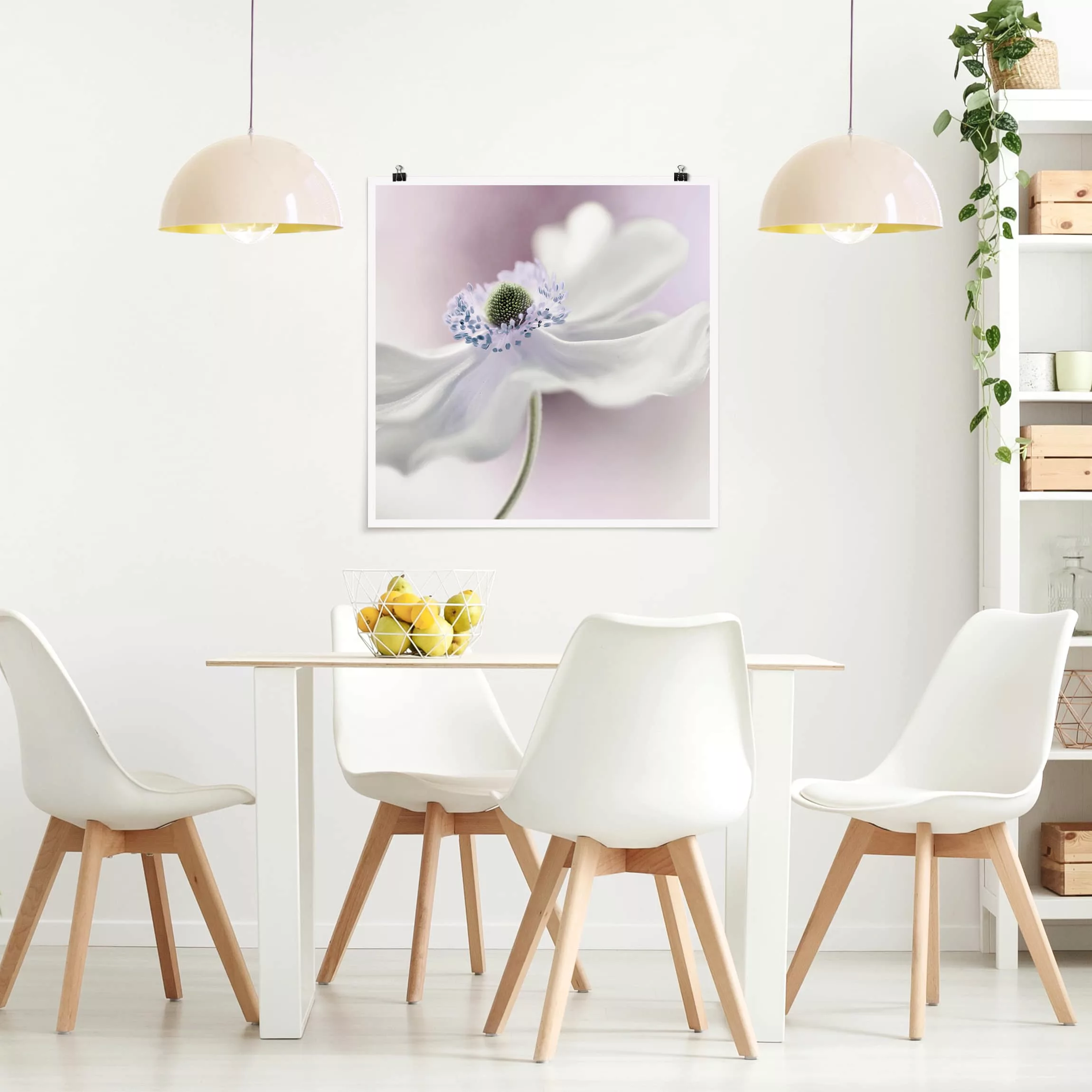 Poster Blumen - Quadrat Anemonenbrise günstig online kaufen