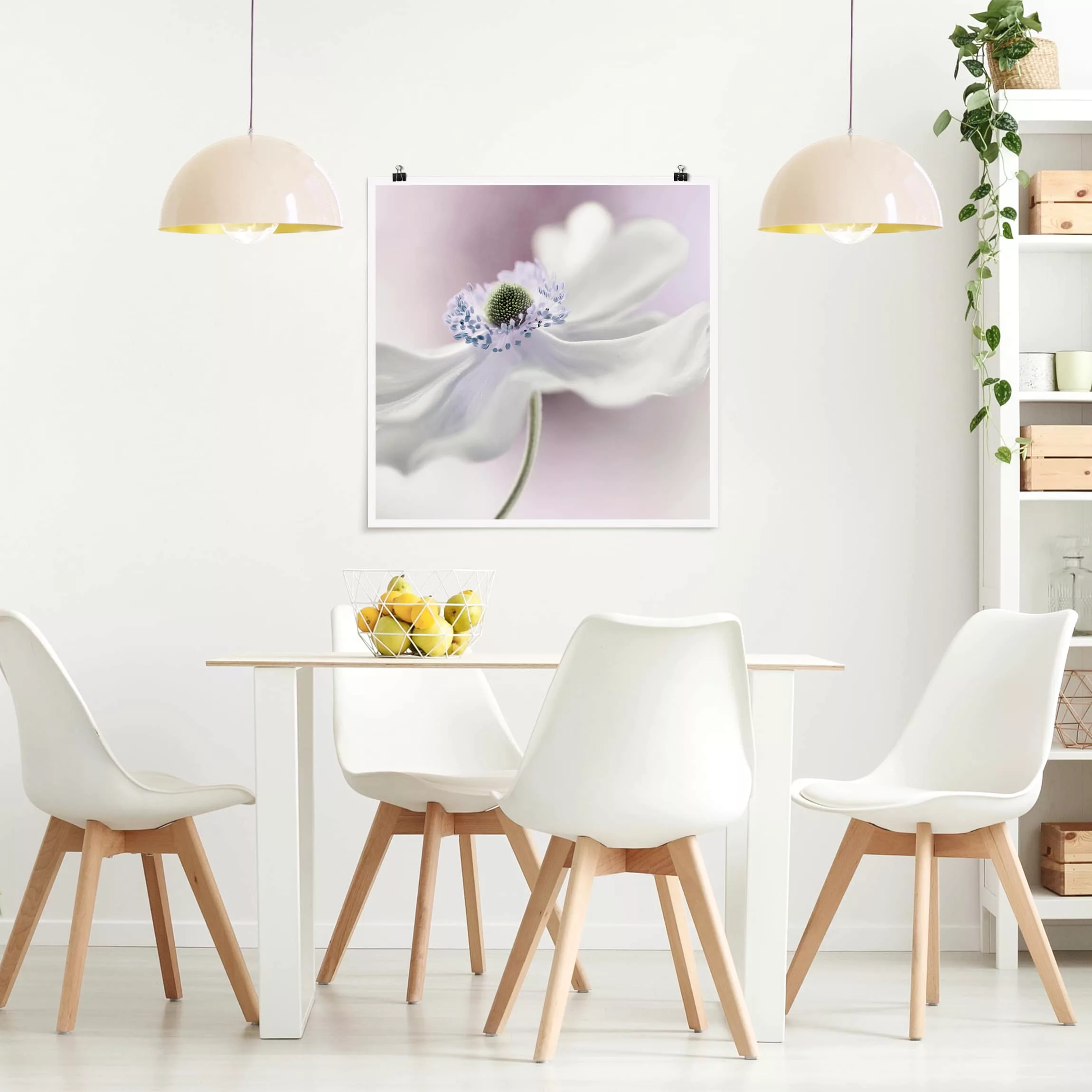 Poster - Quadrat Anemonenbrise günstig online kaufen