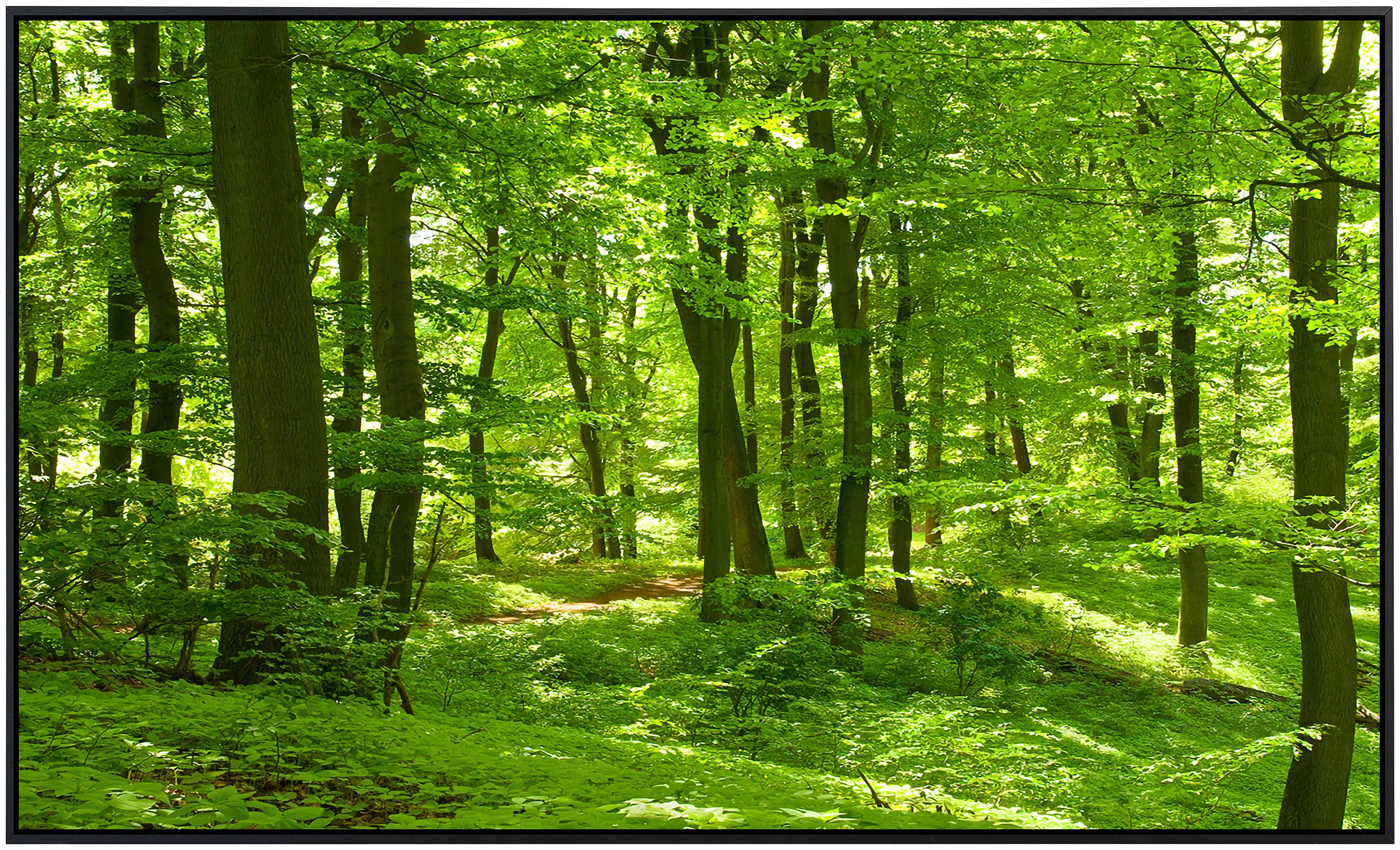 Papermoon Infrarotheizung »Wald im Frühling« günstig online kaufen