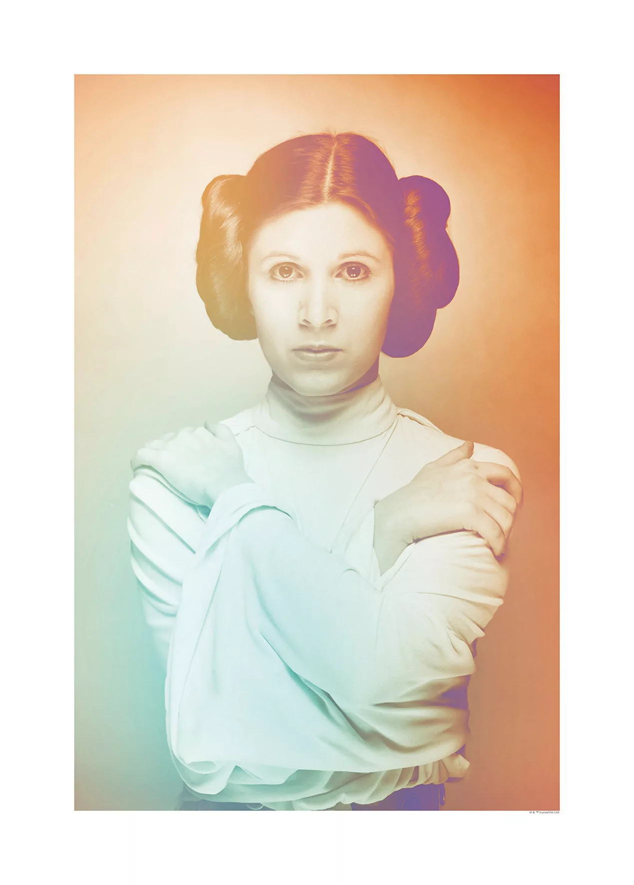 Komar Wandbild Star Wars Leia 50 x 70 cm günstig online kaufen