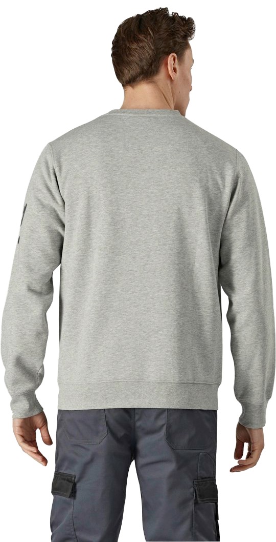 Dickies Rundhalspullover Okemo Graphic Sweatshirt (BCI) günstig online kaufen