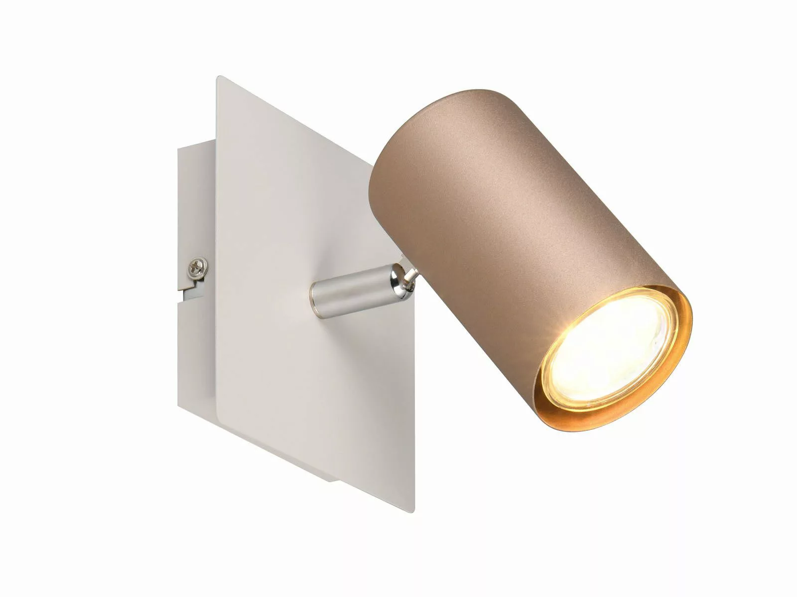 TRIO Leuchten LED Wandstrahler, Dimmfunktion, LED günstig online kaufen
