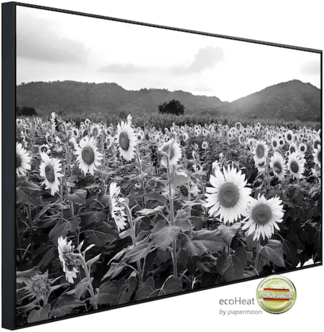 Papermoon Infrarotheizung »Sonnenblumenfeld Schwarz & Weiß«, sehr angenehme günstig online kaufen