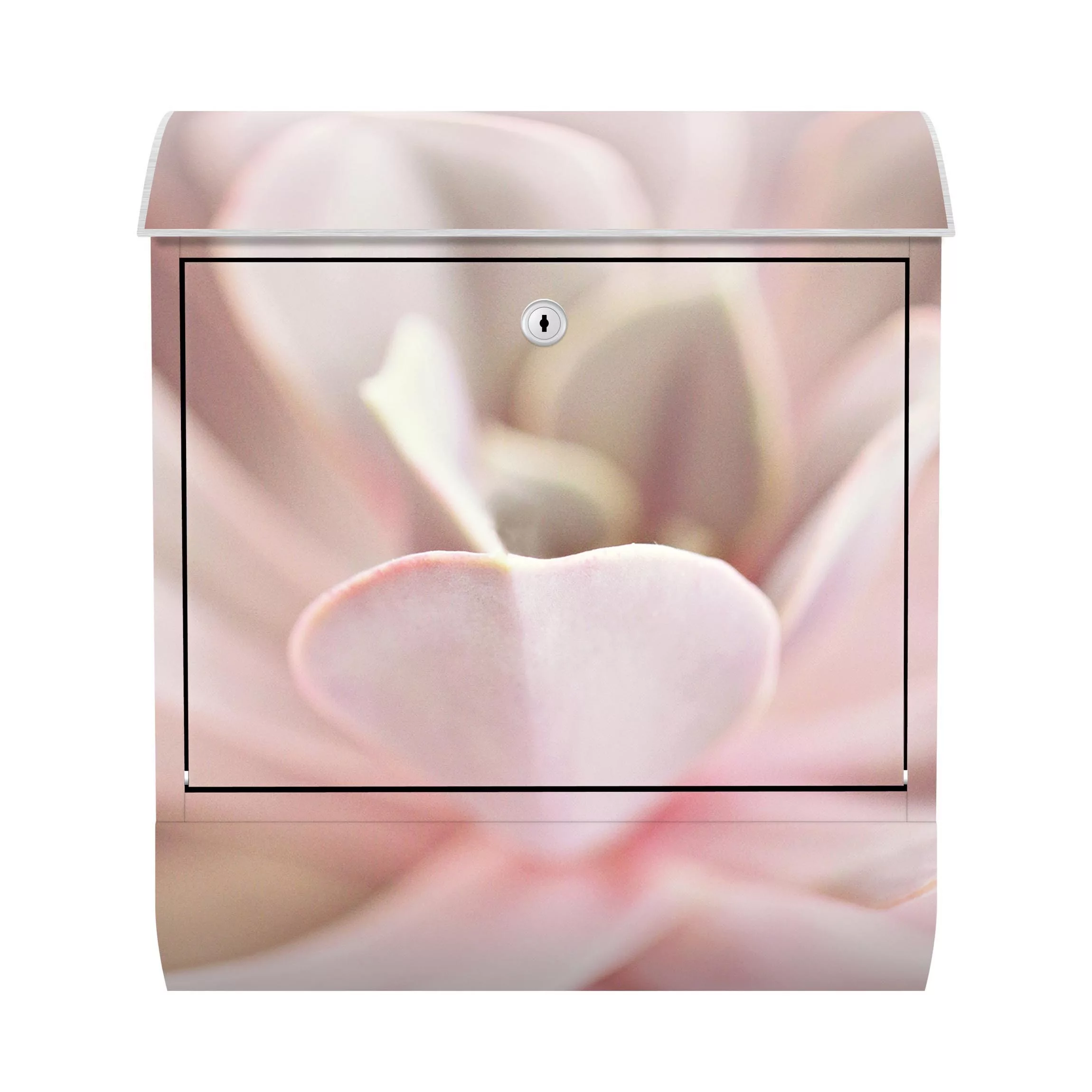 Briefkasten Rosane Sukkulentenblüte günstig online kaufen