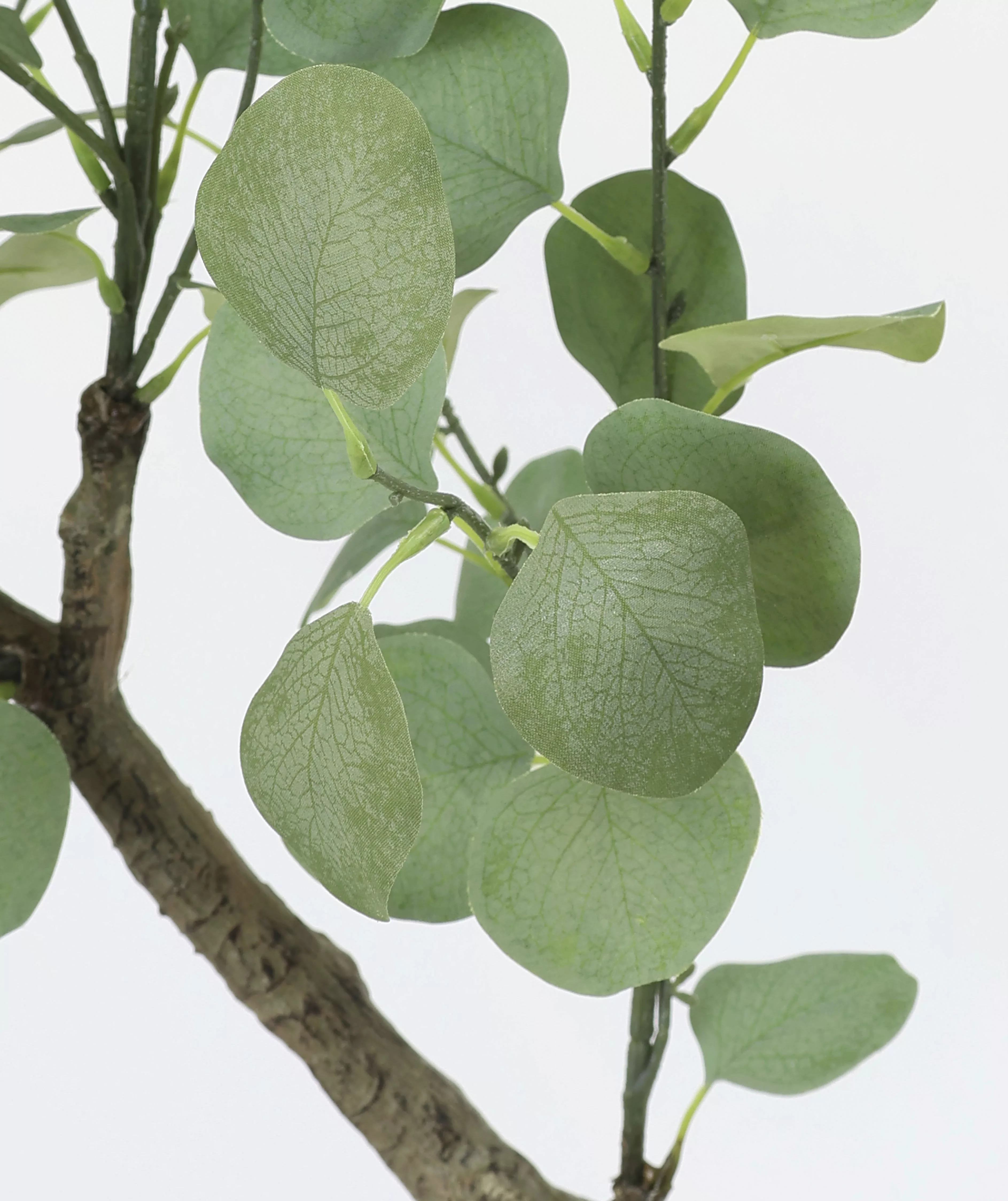 I.GE.A. Kunstpflanze "Kunstbaum Eukalyptus im Topf Pflanze Deko Strauch Bus günstig online kaufen