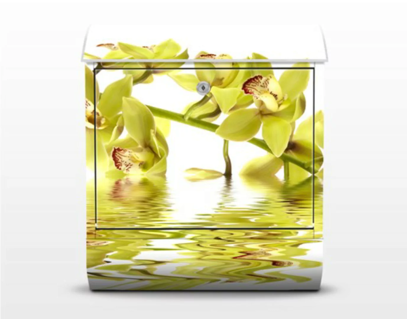 Briefkasten Blumen Elegant Orchid Waters günstig online kaufen