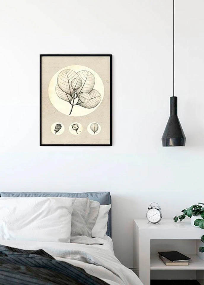 Komar Bild "Transparent Leaf", Pflanzen-Blätter, (1 St.), Wandbild zur Deko günstig online kaufen