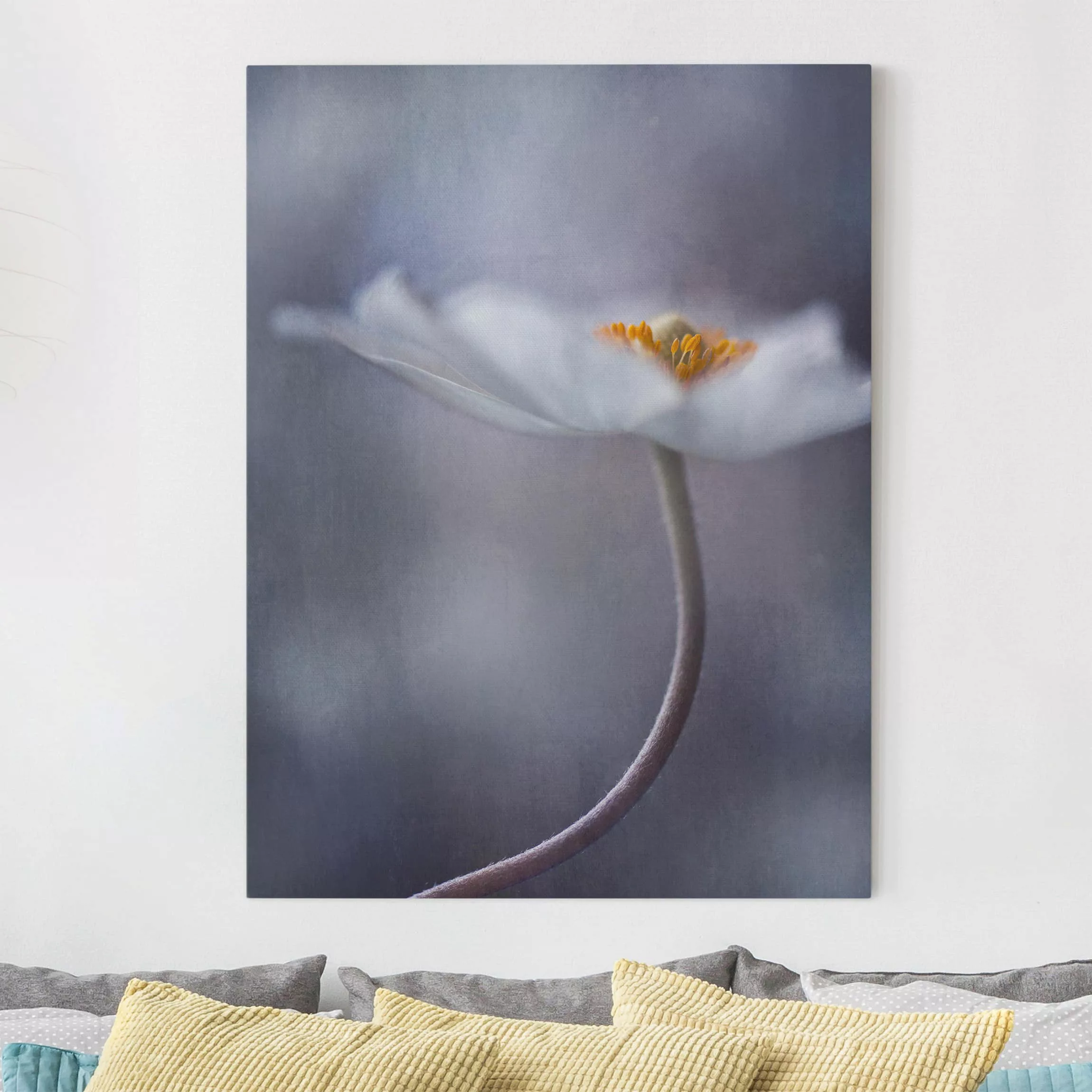 Leinwandbild Blumen - Hochformat Weiße Anemonenblüte günstig online kaufen