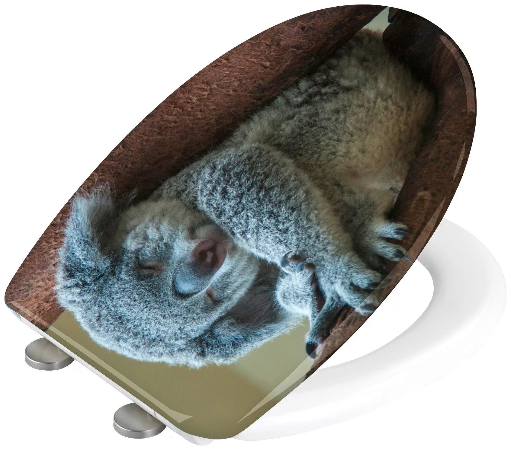 WENKO WC-Sitz Koala, Toilettensitz mit Absenkautomatik, Schnellbefestigung, günstig online kaufen