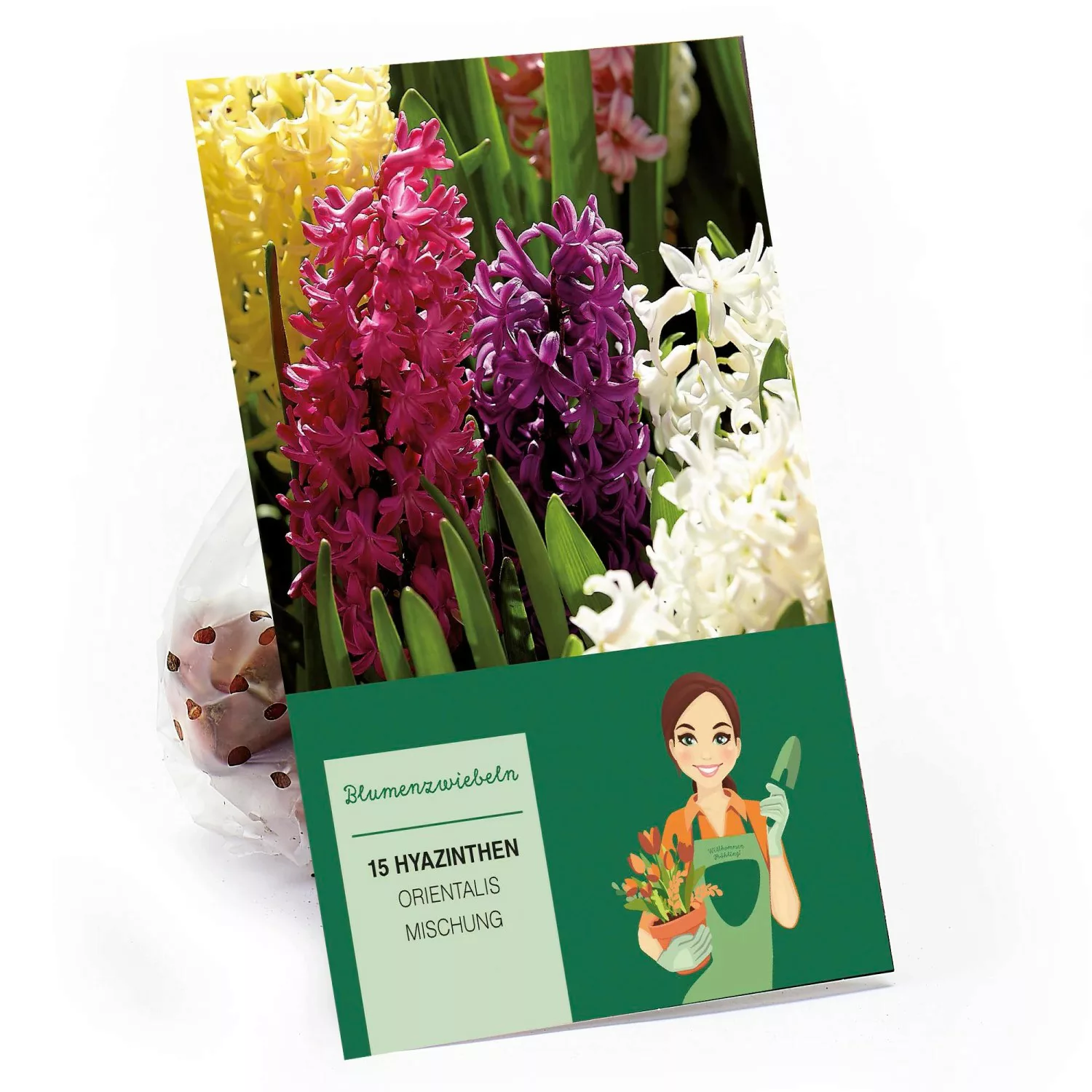 Hyazinthe Mischung 15 Stück Hyacinthus orientalis günstig online kaufen