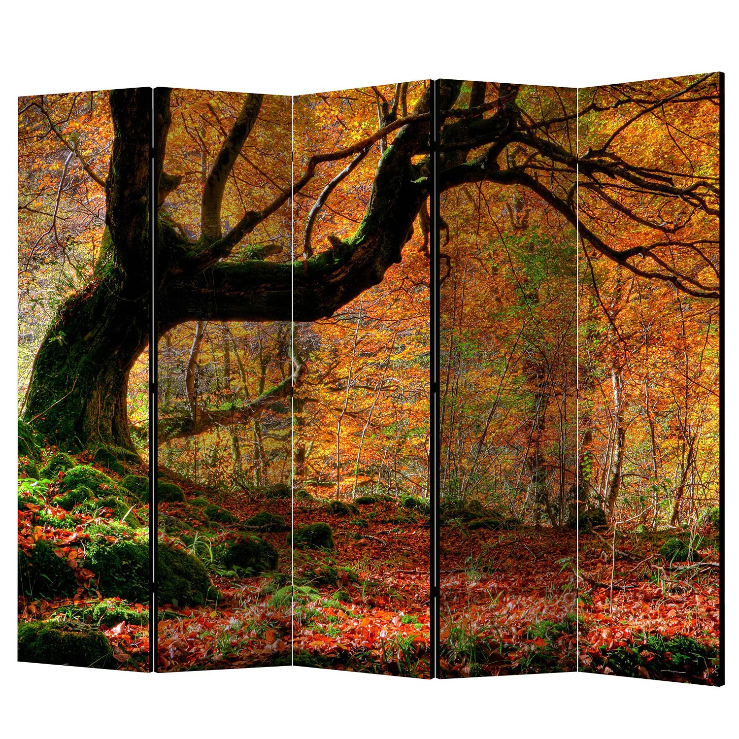 home24 Paravent Autumn Forest and Leaves günstig online kaufen