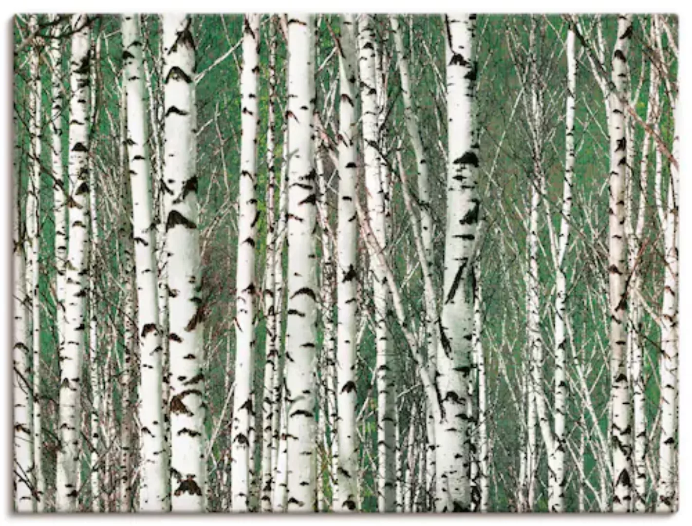 Artland Wandbild »Birkenwald - Bäume«, Bäume, (1 St.) günstig online kaufen