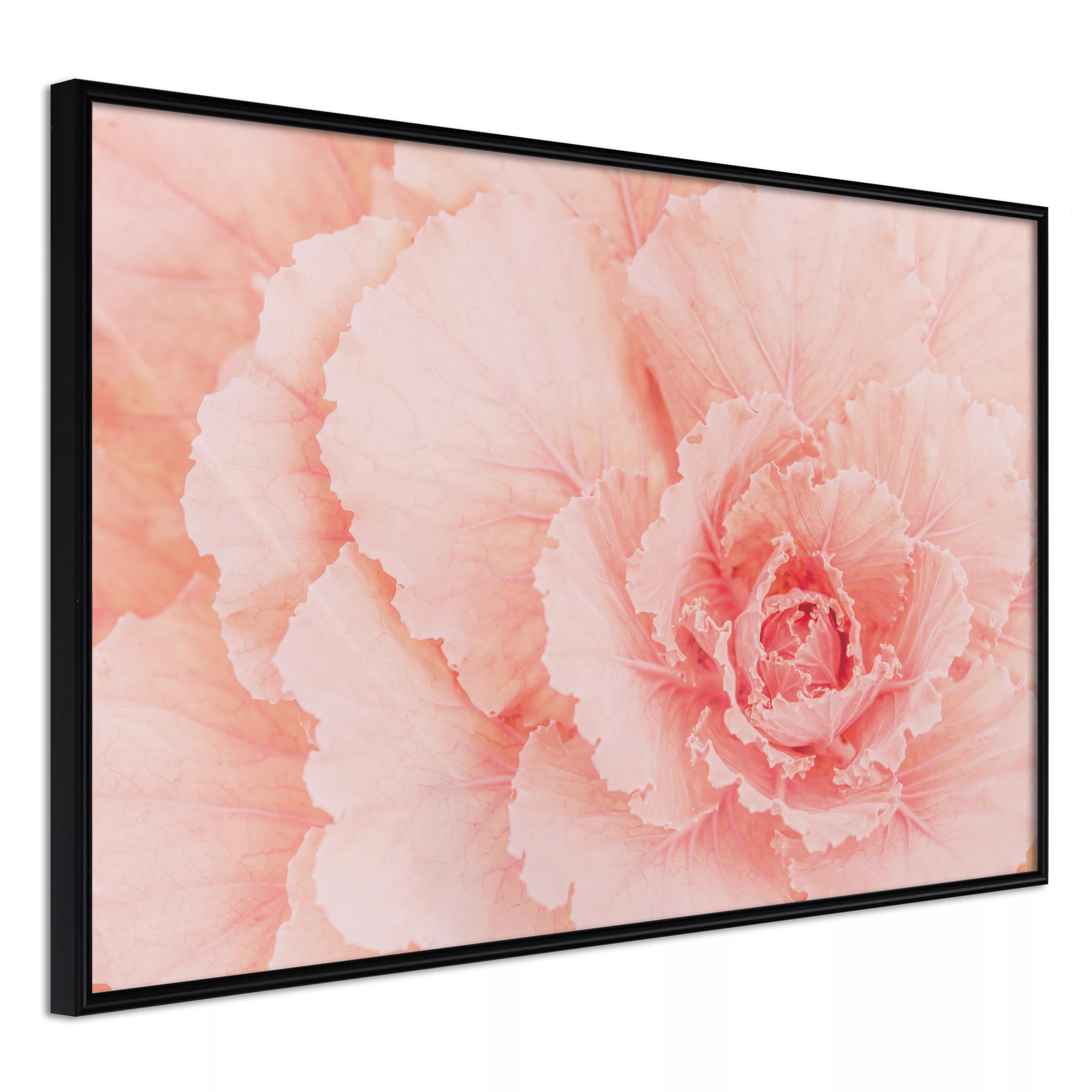 Poster - Delicate Petals günstig online kaufen