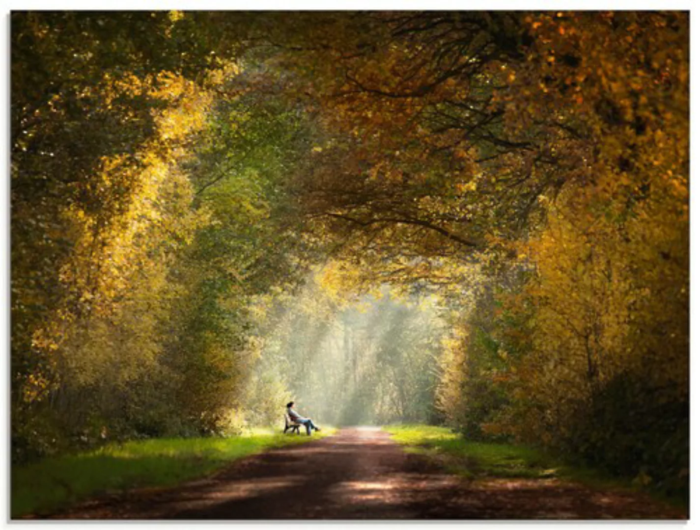 Artland Glasbild "Licht am Ende des Tunnels...", Wald, (1 St.), in verschie günstig online kaufen