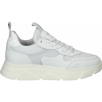 Steve Madden  Sneaker Sneaker günstig online kaufen