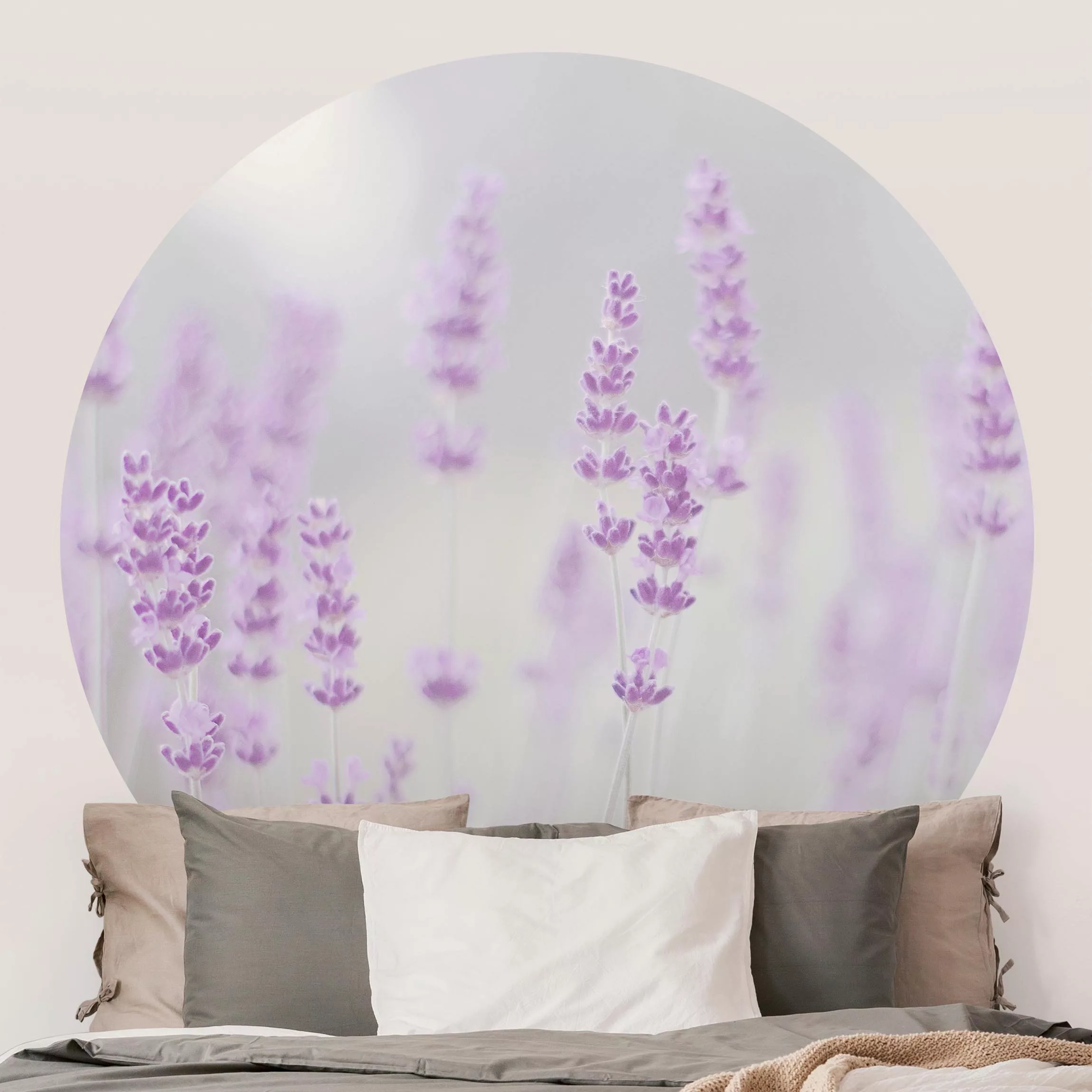 Runde Tapete selbstklebend Sommer im Lavendelfeld günstig online kaufen