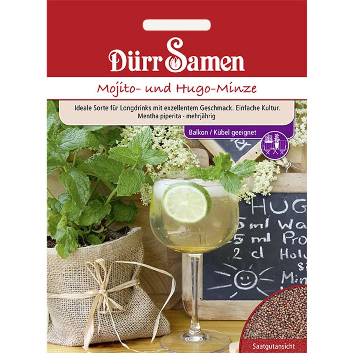 Dürr Samen Mojito- Und Hugo-Minze Saatgut günstig online kaufen