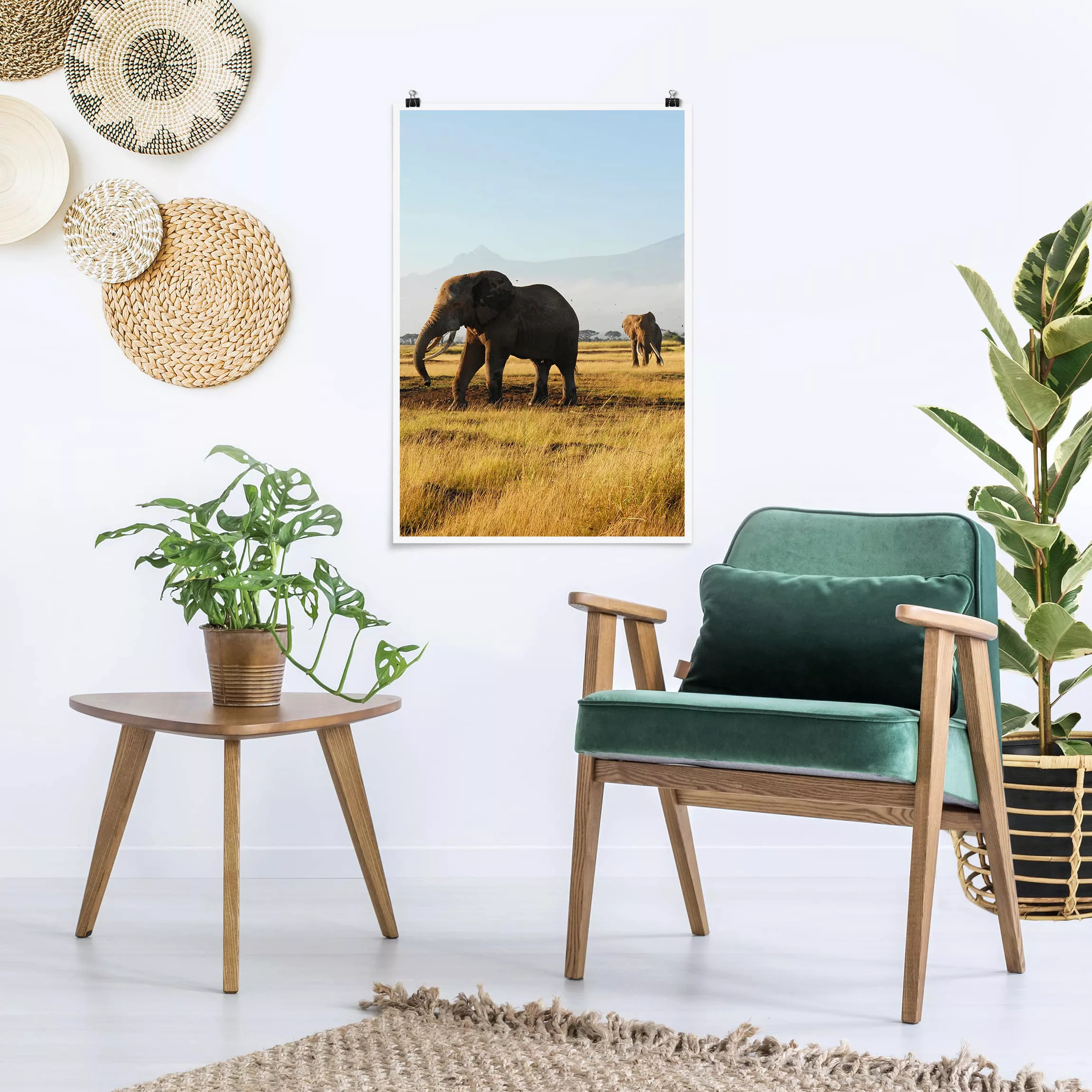 Poster Tiere - Hochformat Elefanten vor dem Kilimanjaro in Kenya günstig online kaufen