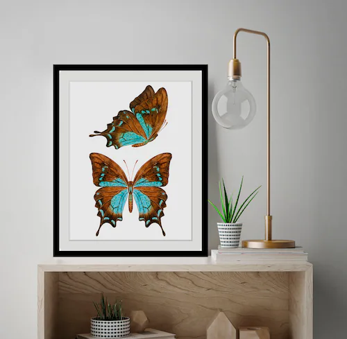 queence Bild "Nala", Schmetterlinge-Kunst-Insekten, (1 St.), HD Premium Pos günstig online kaufen