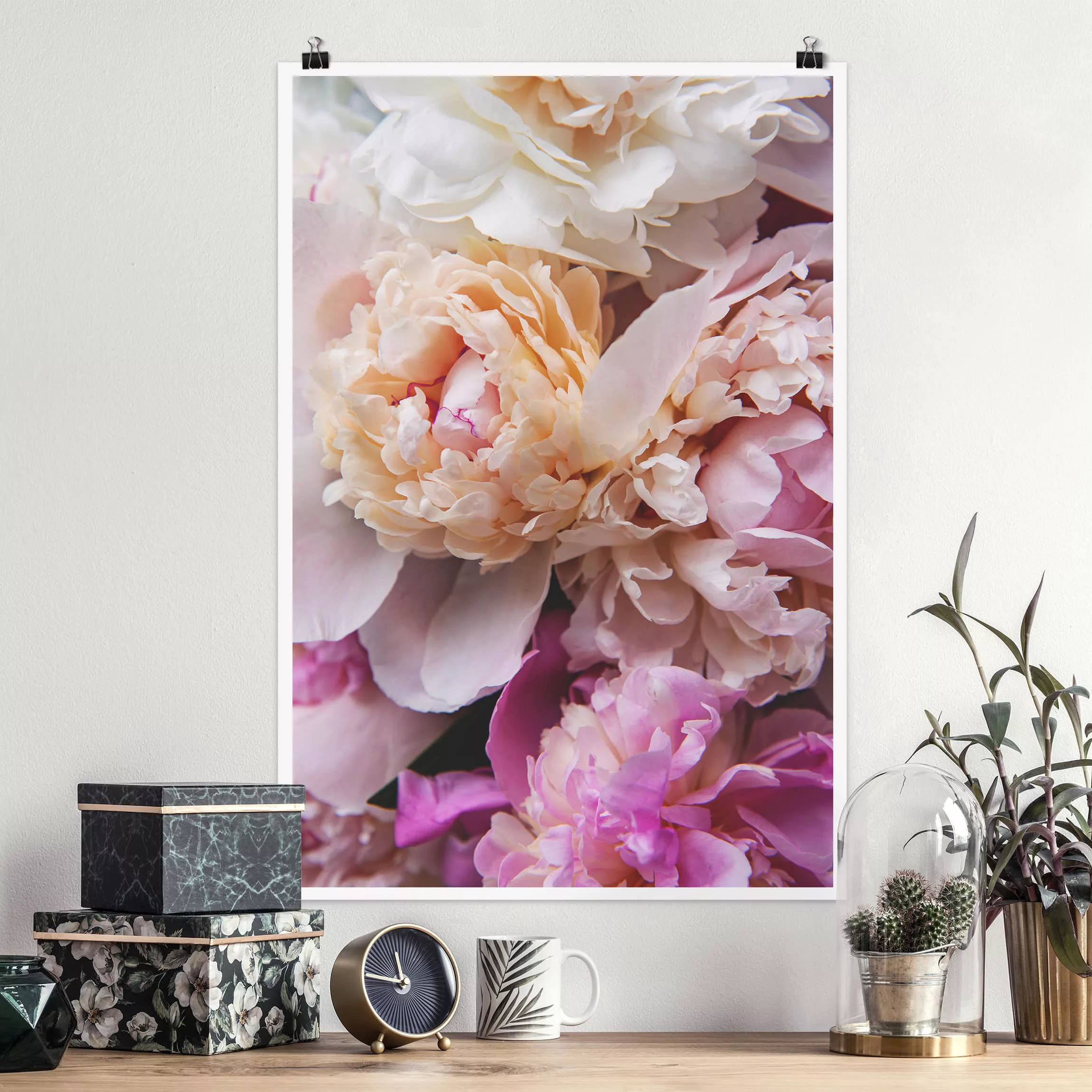 Poster Blumen - Hochformat Blühende Pfingstrosen günstig online kaufen