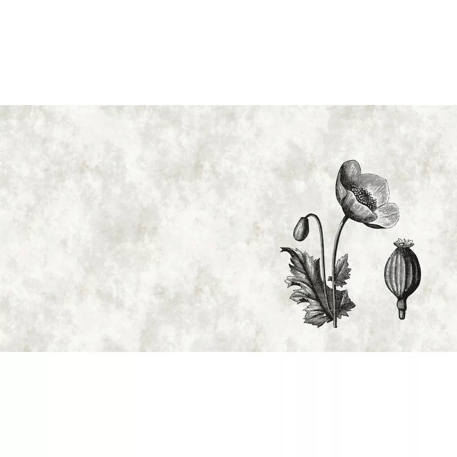 Fototapete Blumen Schwarz Weiß  5,00 m x 2,70 m FSC® günstig online kaufen
