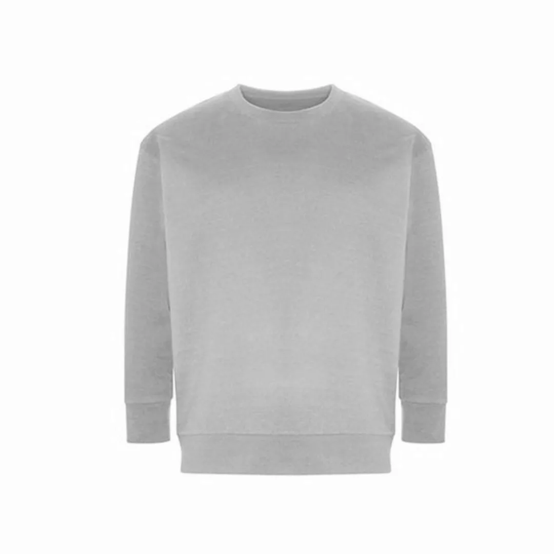 Ecologie Sweatshirt Crater Recycled Sweatshirt günstig online kaufen