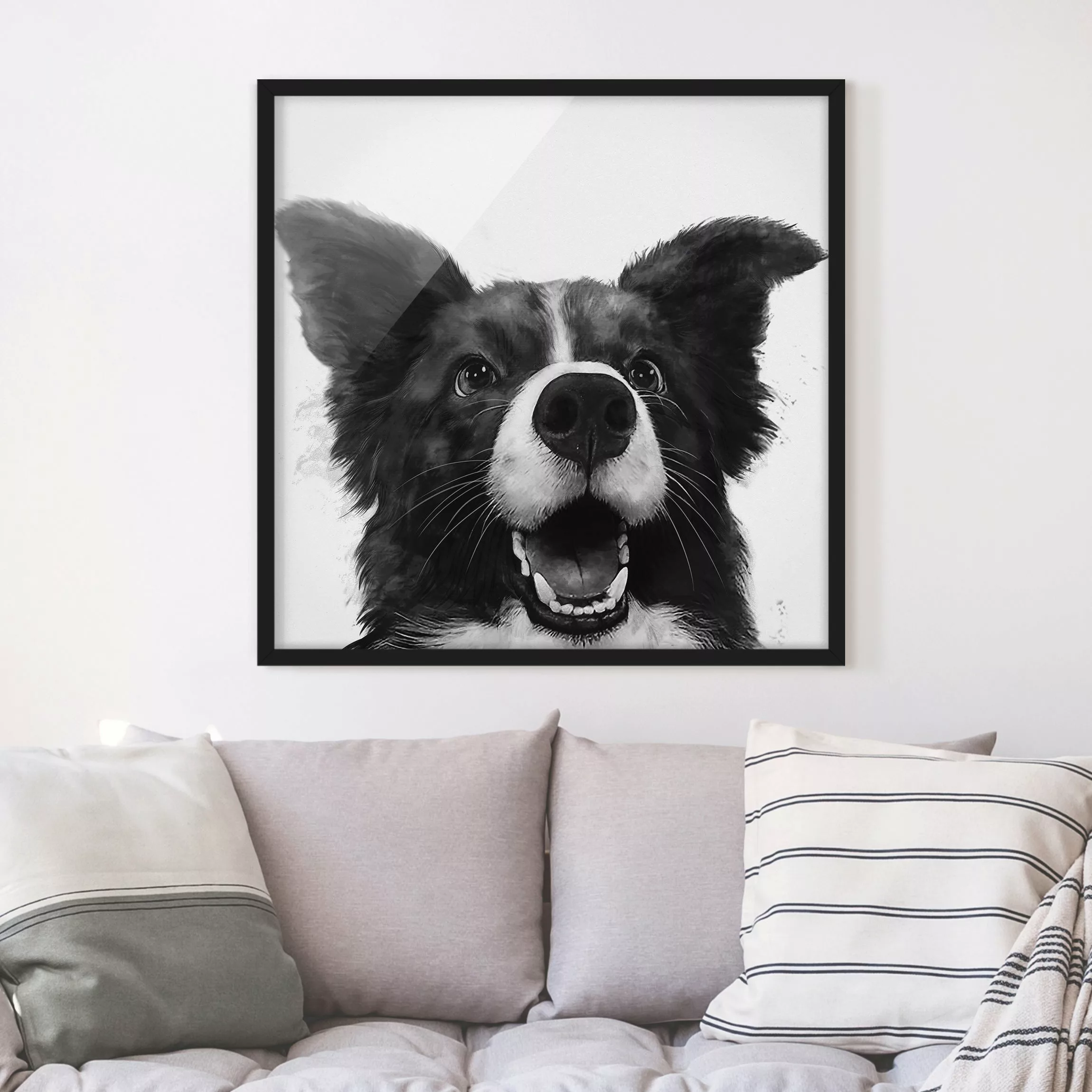 Bild mit Rahmen Tiere - Quadrat Illustration Hund Border Collie Schwarz Wei günstig online kaufen