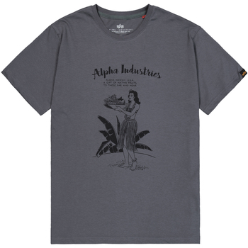Alpha Industries  T-Shirts & Poloshirts Alpha Hawaii T-Shirt - vintage grey günstig online kaufen