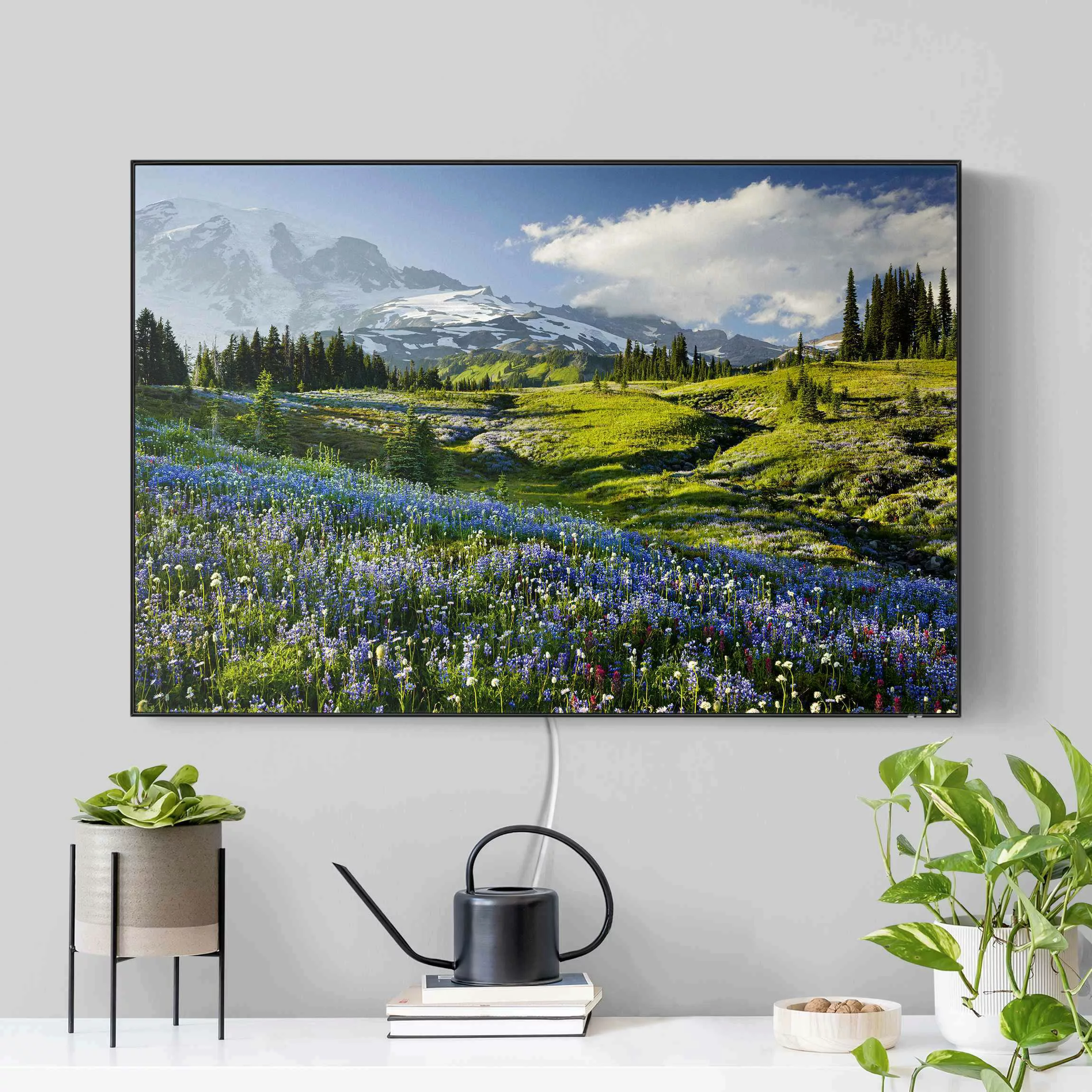 LED-Wechselbild Bergwiese mit blauen Blumen vor Mt. Rainier günstig online kaufen