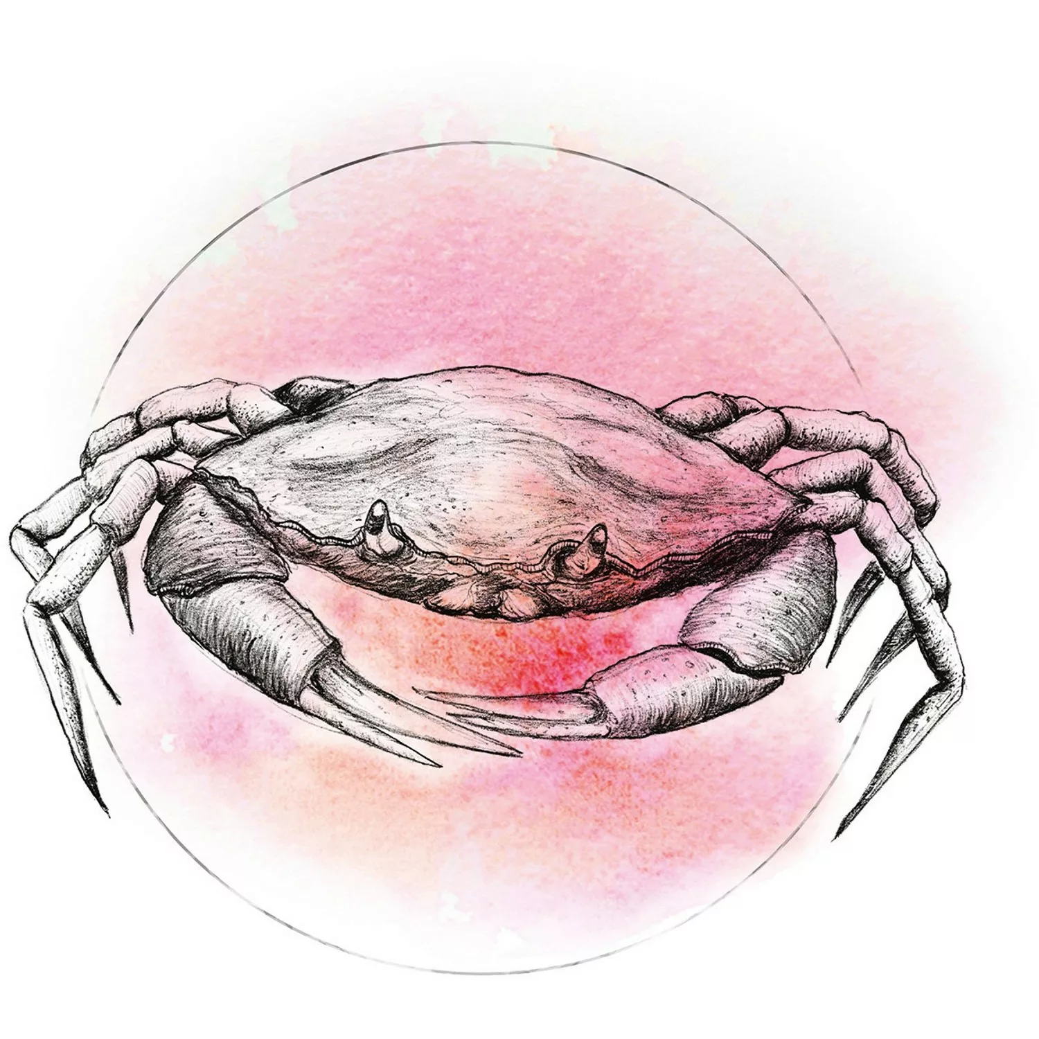 Komar Poster »Crab Watercolor«, Tiere, (1 St.), Kinderzimmer, Schlafzimmer, günstig online kaufen