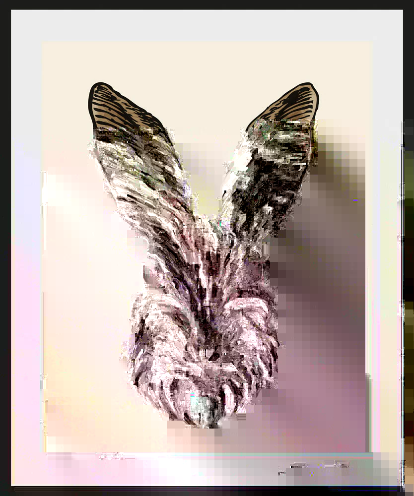 queence Bild "Agus", Hase-Hasen-Haustiere-Kunst-Ostern, (1 St.), 30x40, mit günstig online kaufen