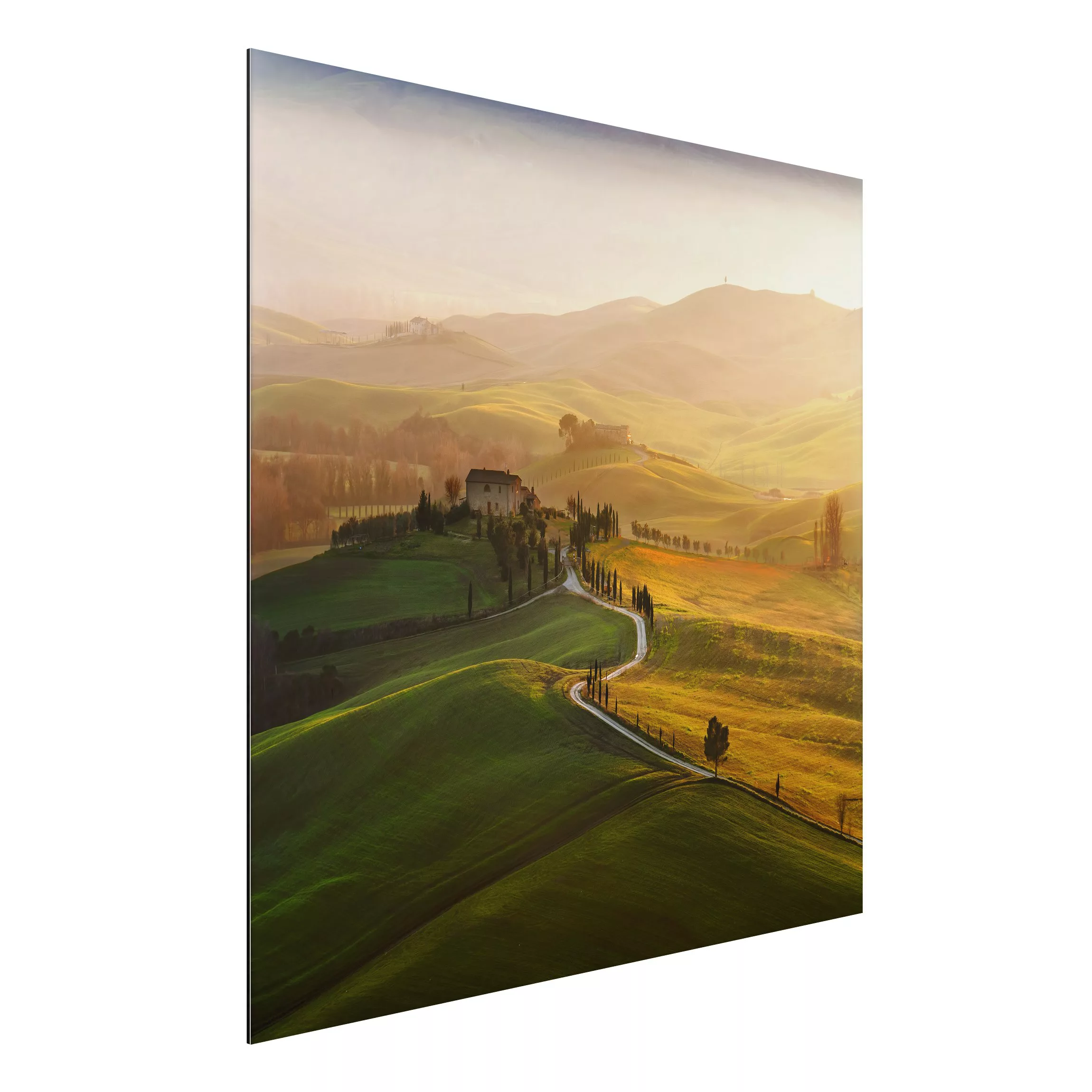 Alu-Dibond Bild Natur & Landschaft - Quadrat Val d'Orcia günstig online kaufen