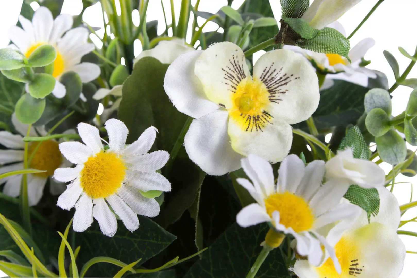 Botanic-Haus Kunstblume "Hornveilchen Margeritenarrangement" günstig online kaufen
