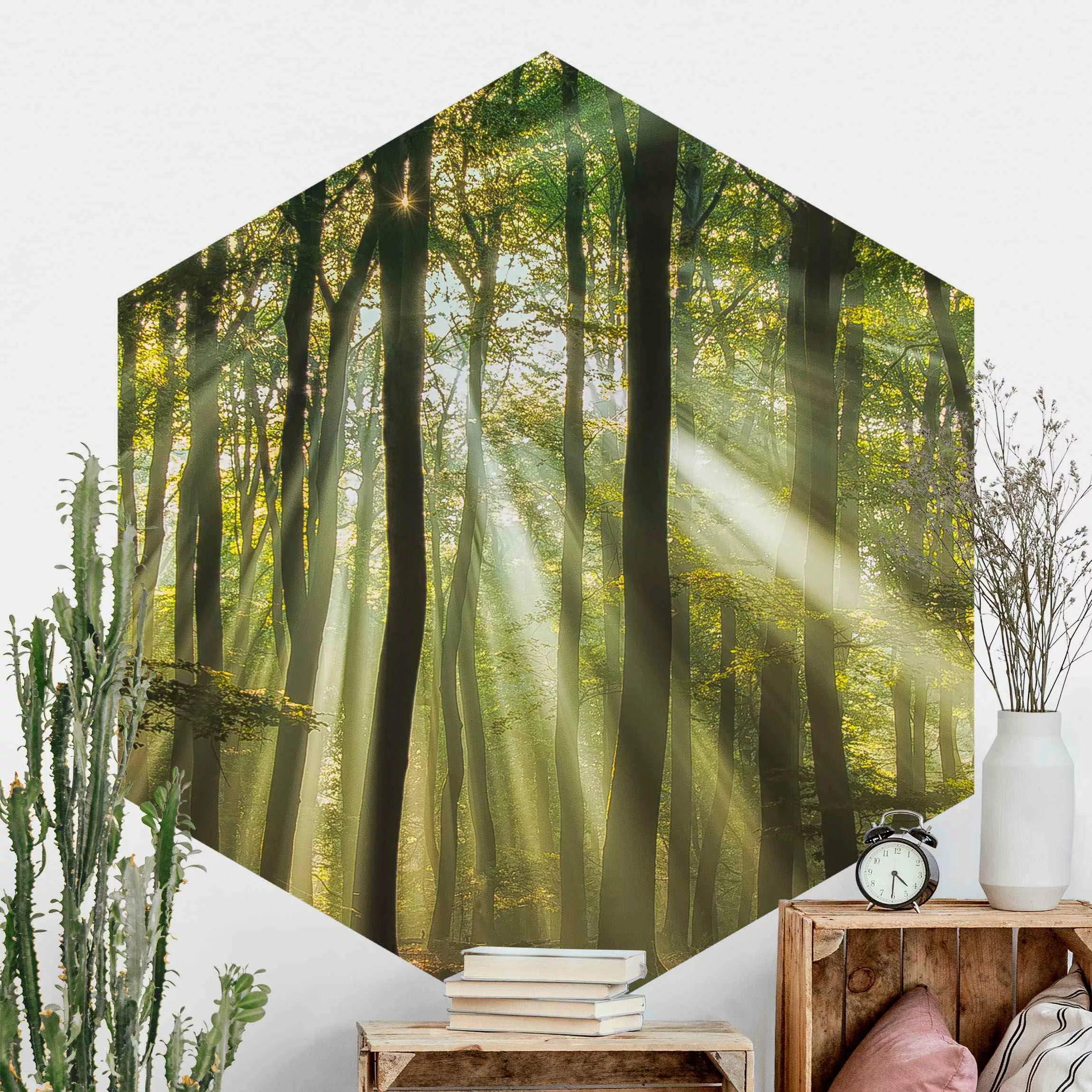 Hexagon Fototapete selbstklebend Sonnentag im Wald günstig online kaufen
