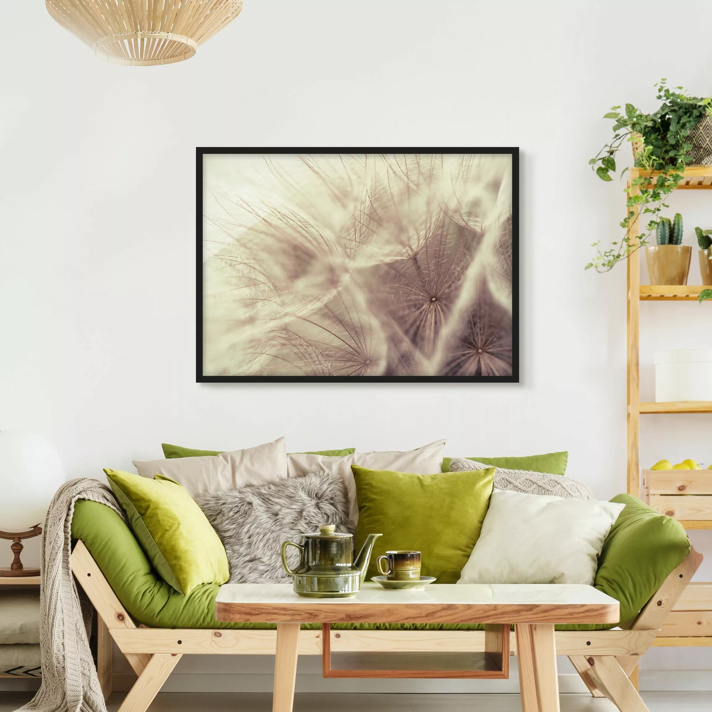 Bild mit Rahmen Blumen - Querformat Detailreiche Pusteblumen Makroaufnahme günstig online kaufen
