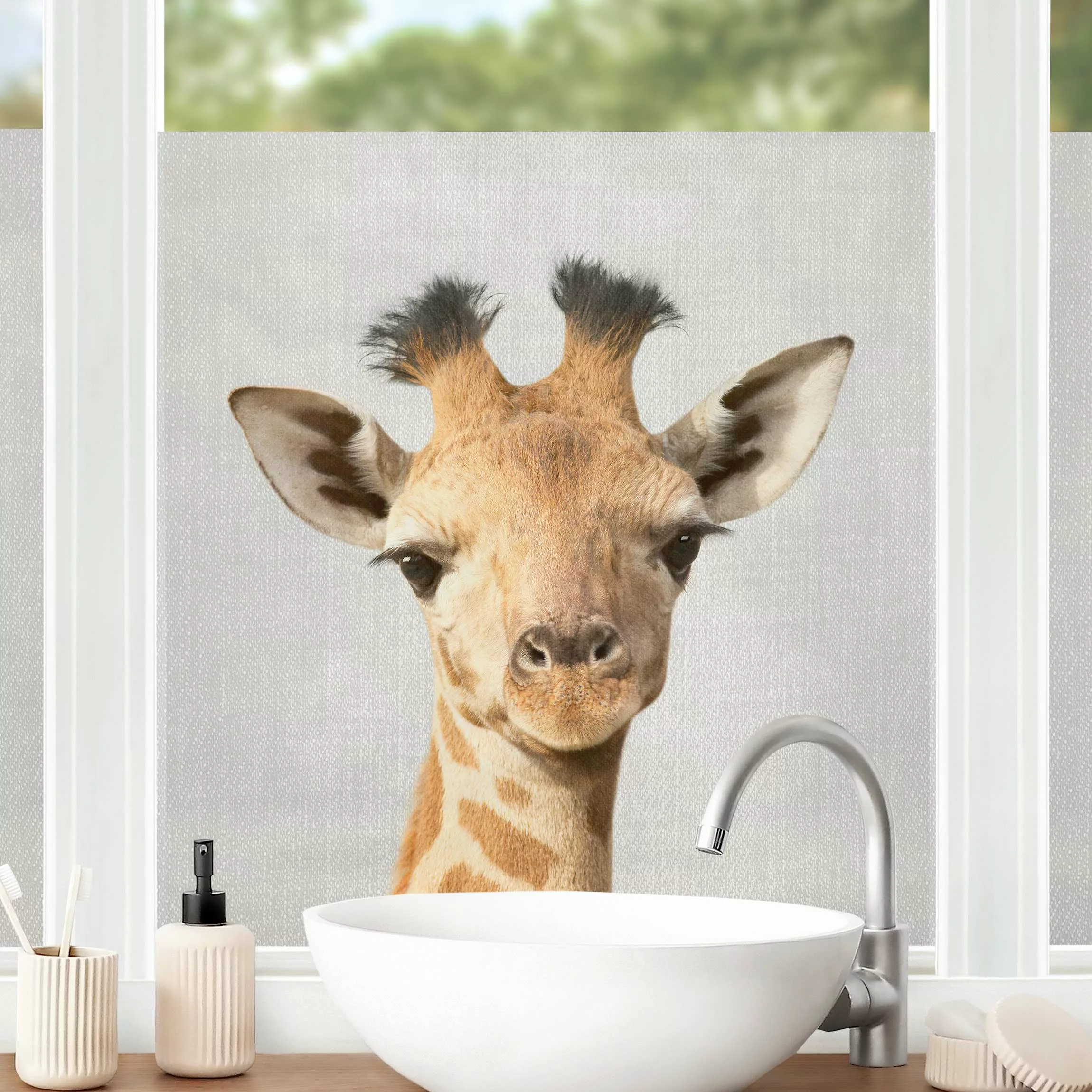 Fensterfolie Baby Giraffe Gandalf günstig online kaufen