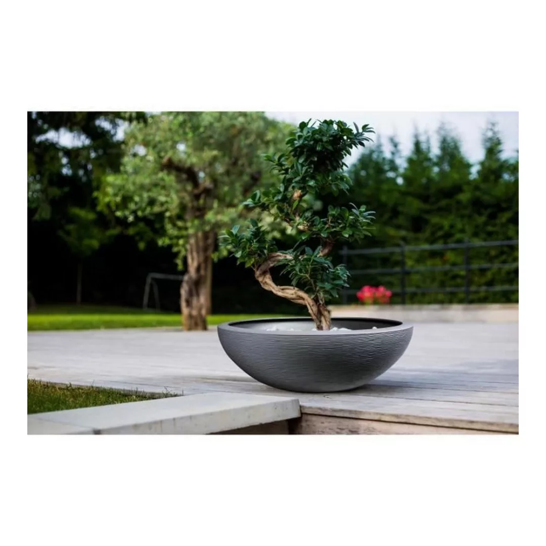 Blumentopf Eda Graphit Washbasin Kunststoff Dunkelgrau (ø 59 X 21 Cm) günstig online kaufen