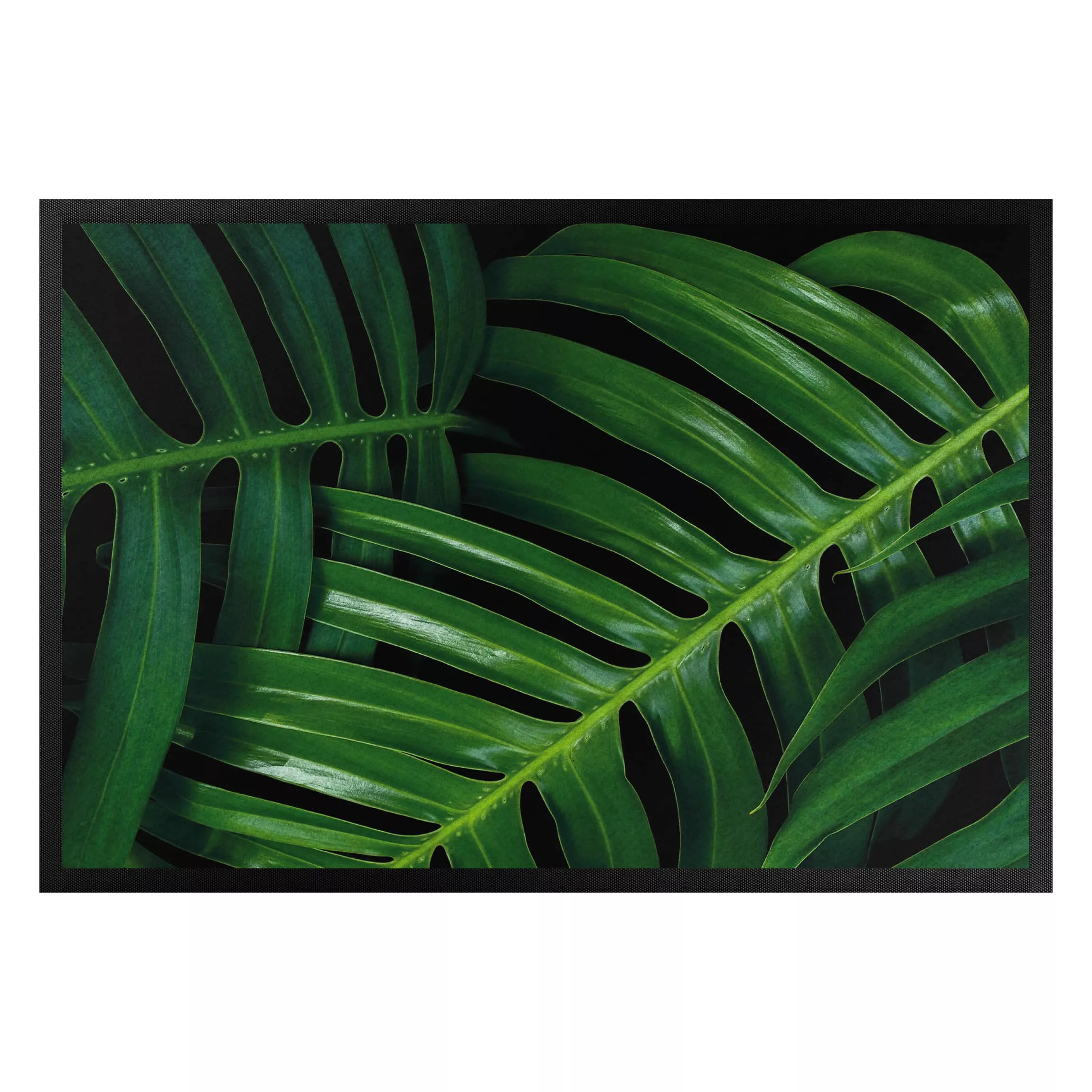 Fußmatte Botanik & Tropical Palmenblätter günstig online kaufen