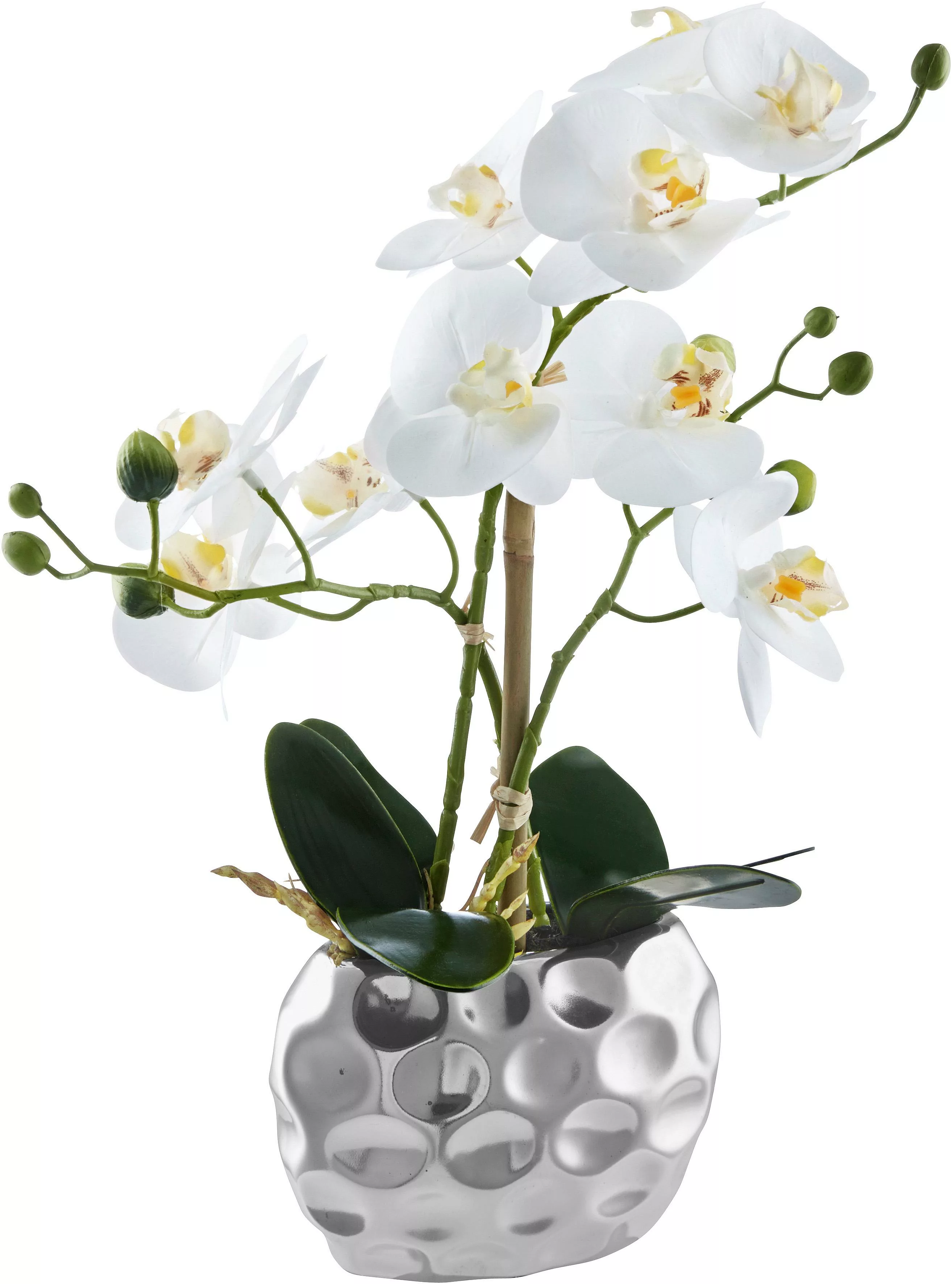 Leonique Kunstpflanze "Orchidee", Kunstorchidee, im Topf, Bestseller, über günstig online kaufen