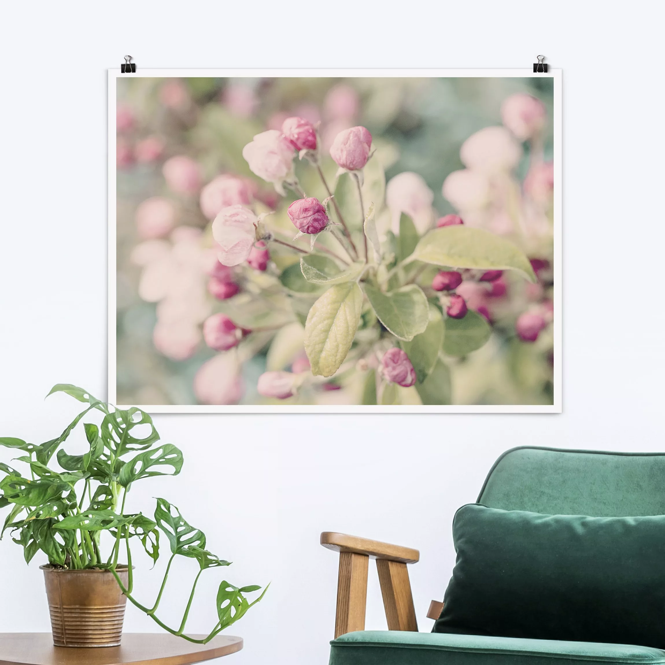 Poster Apfelblüte Bokeh rosa günstig online kaufen