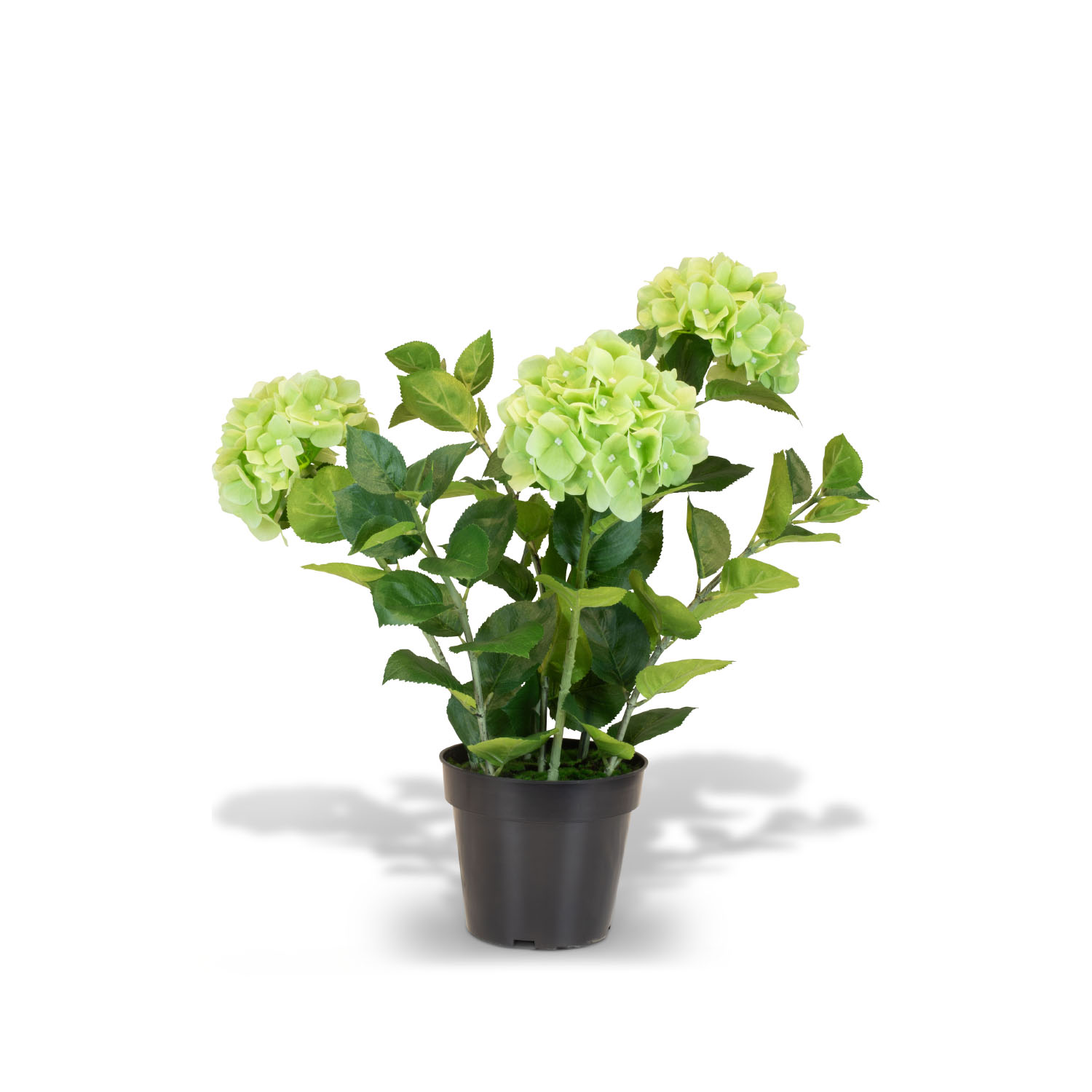 Hortensie - Hydrangea Kunstpflanze, 3 Blüten, grün günstig online kaufen