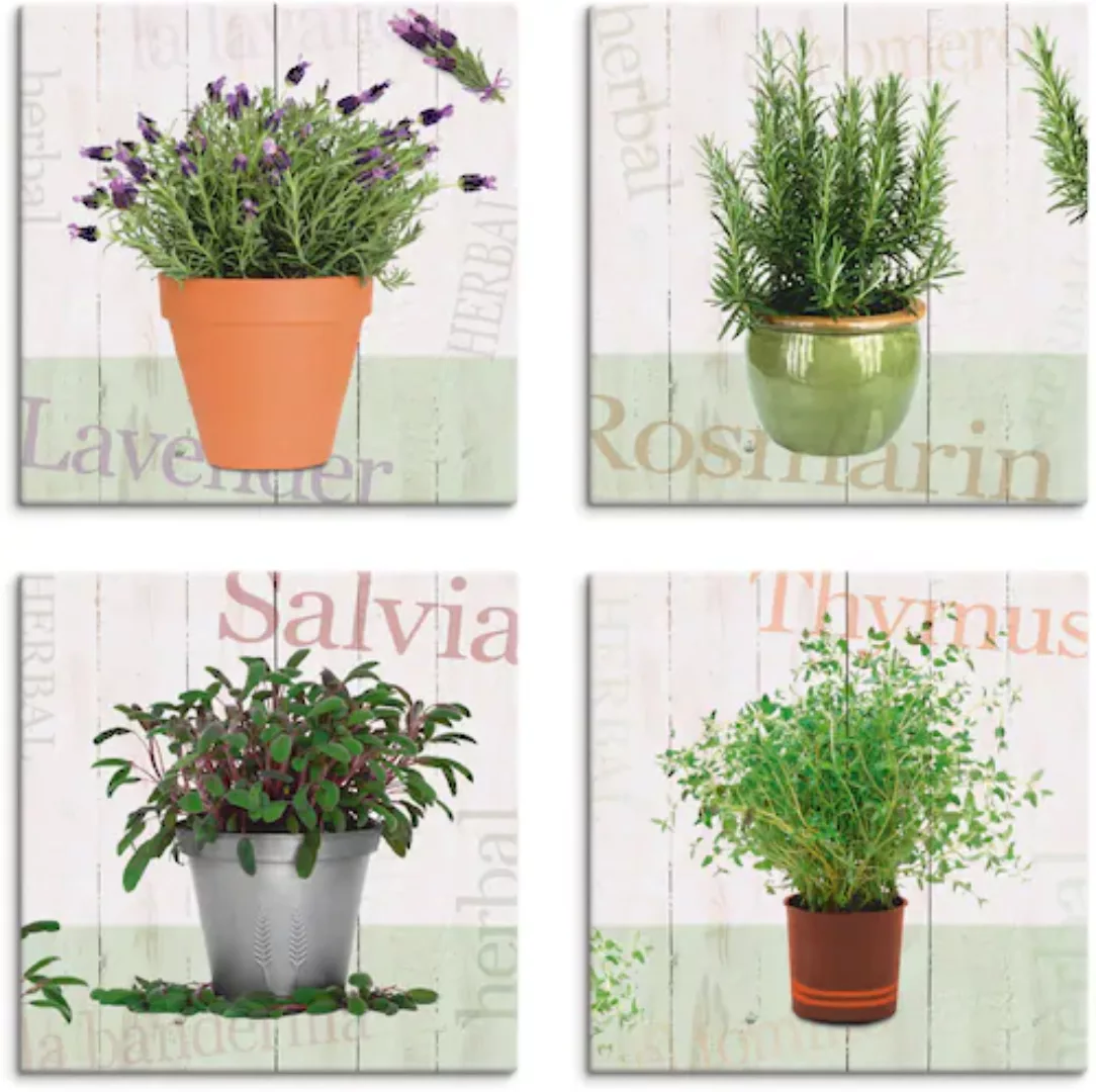 Artland Leinwandbild »Lavendel, Rosmarin, Salbei, Thymian«, Pflanzen, (4 St günstig online kaufen