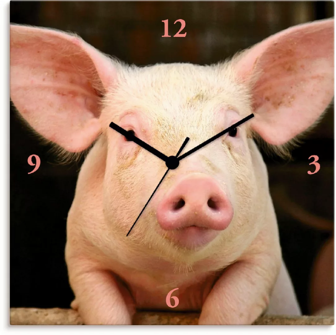 Artland Wanduhr »Vorwitziges Schwein« günstig online kaufen