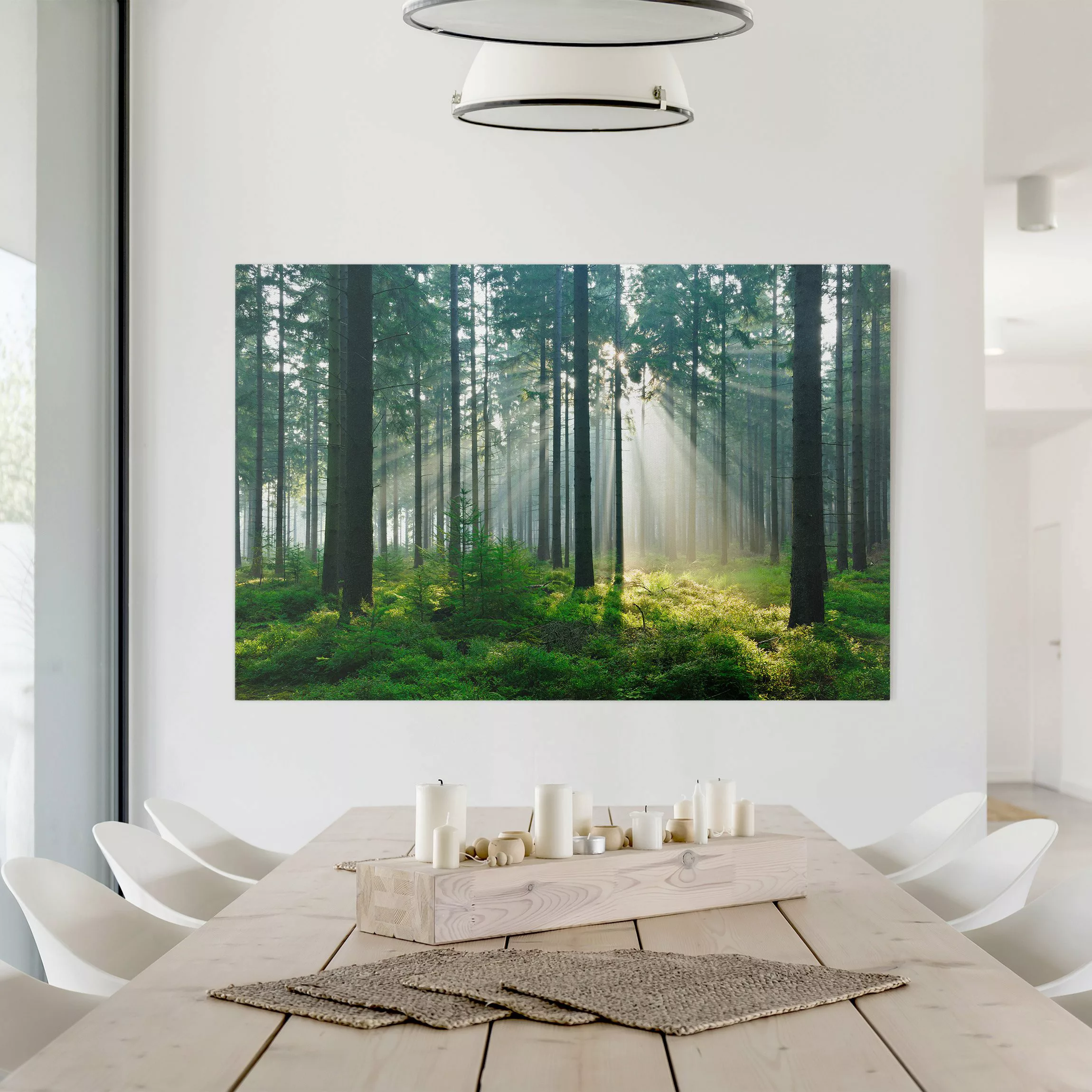 Leinwandbild Wald - Querformat Enlightened Forest günstig online kaufen
