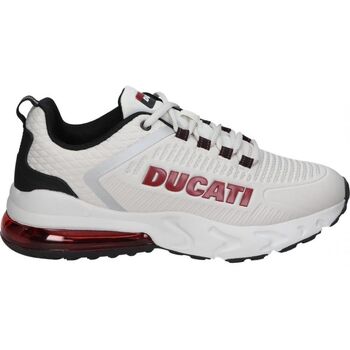 Ducati  Sneaker DU42M113 günstig online kaufen