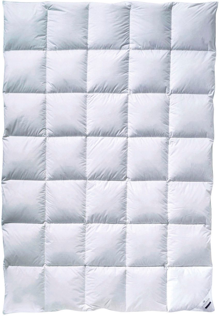 billerbeck Daunenbettdecke Ebby 50 Mono, Bettdecke günstig online kaufen