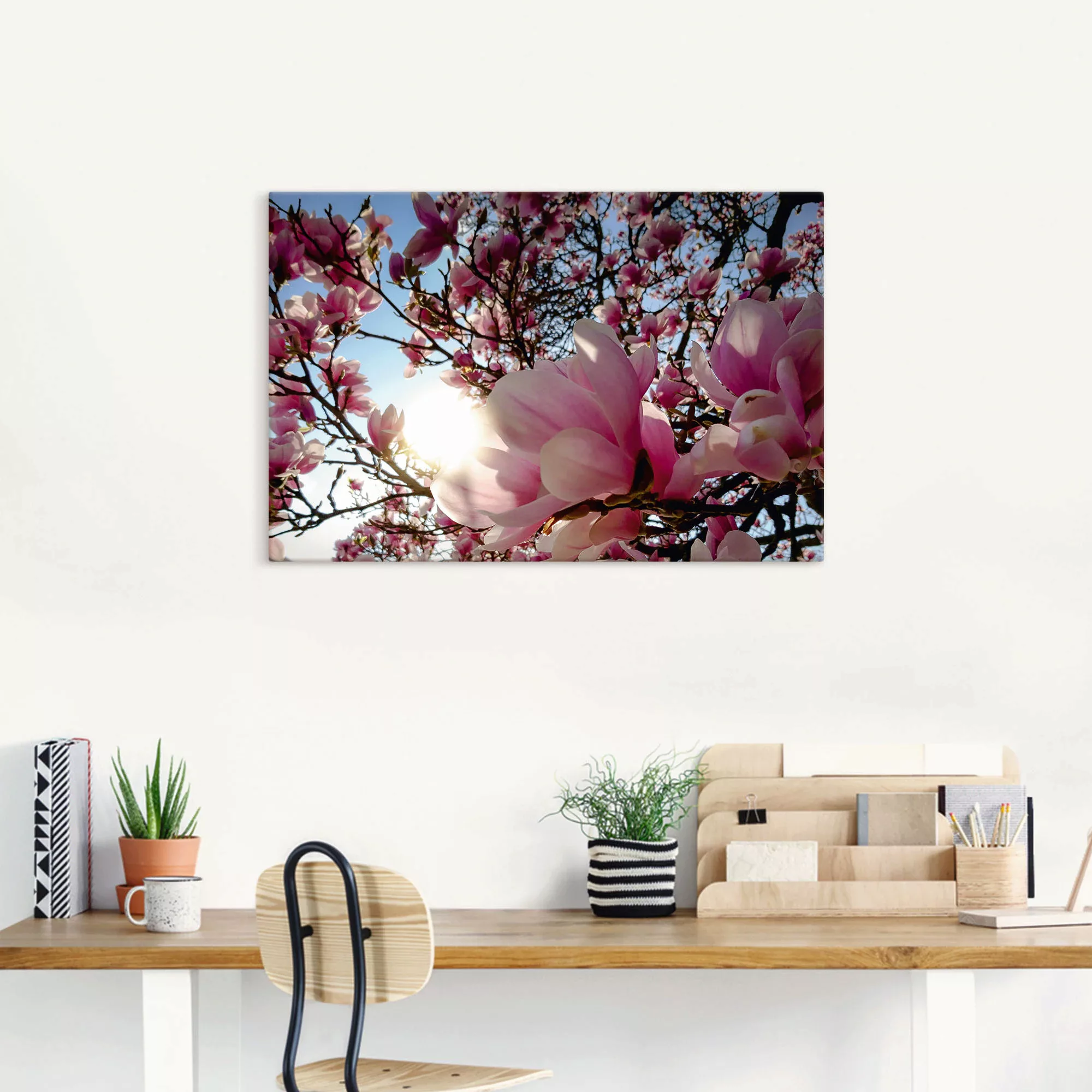 Artland Wandbild "Magnolienbaum im Sonnenschein", Baumbilder, (1 St.), als günstig online kaufen