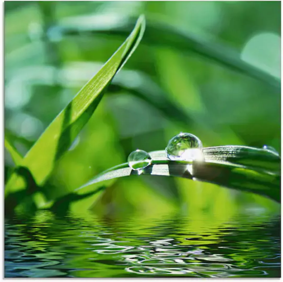 Artland Glasbild "Grüner Hintergrund mit Gras", Gräser, (1 St.), in verschi günstig online kaufen